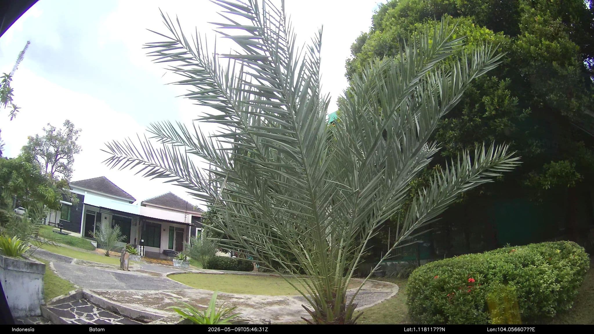 Street view near Airy Purimas Residence Raja Isa Batam, Batam — © Kaart---RIGHT (CC BY-SA · Mapillary)