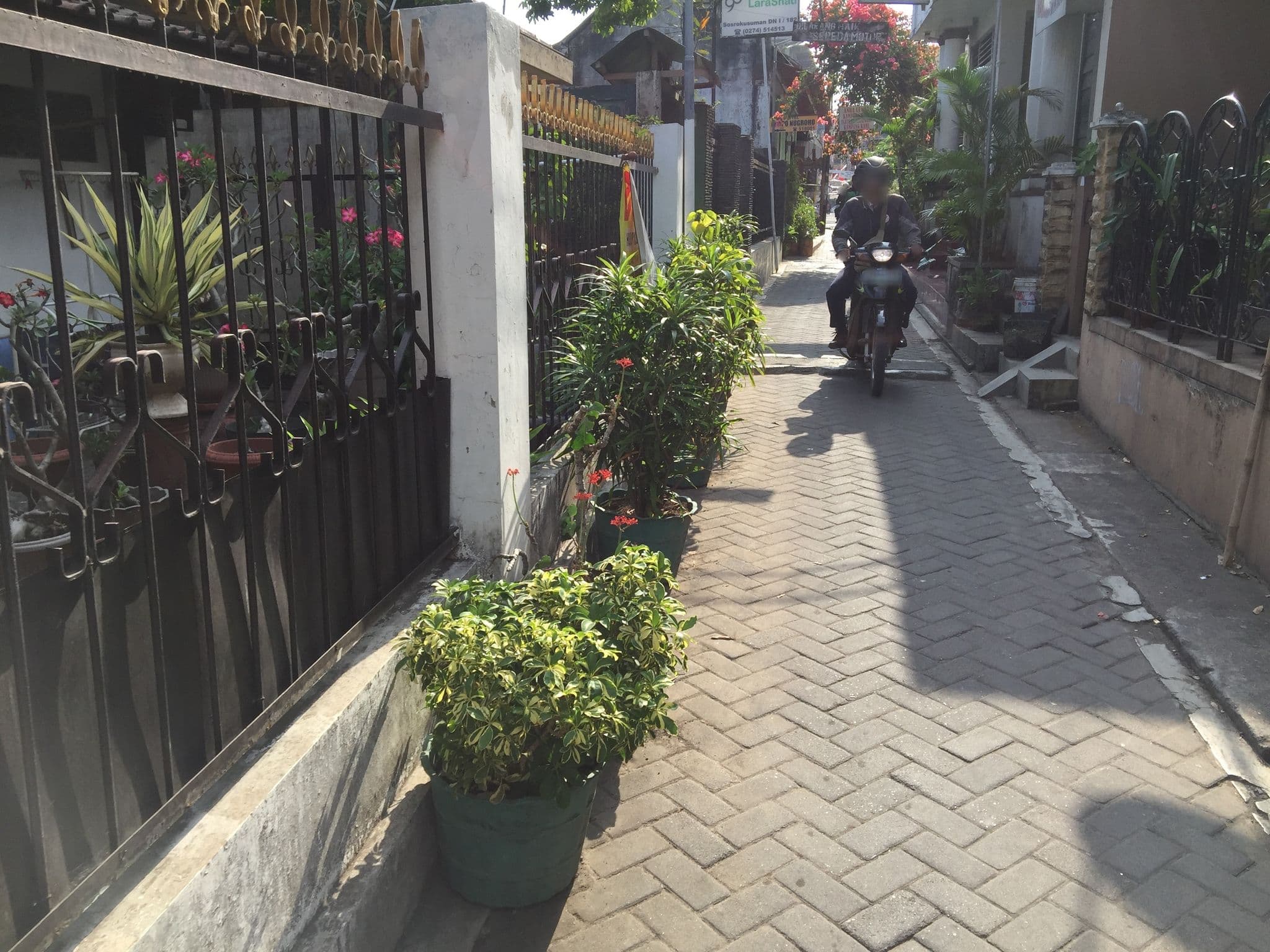 Street view near Hotel Larashati, Yogyakarta — © peacewins (CC BY-SA · Mapillary)