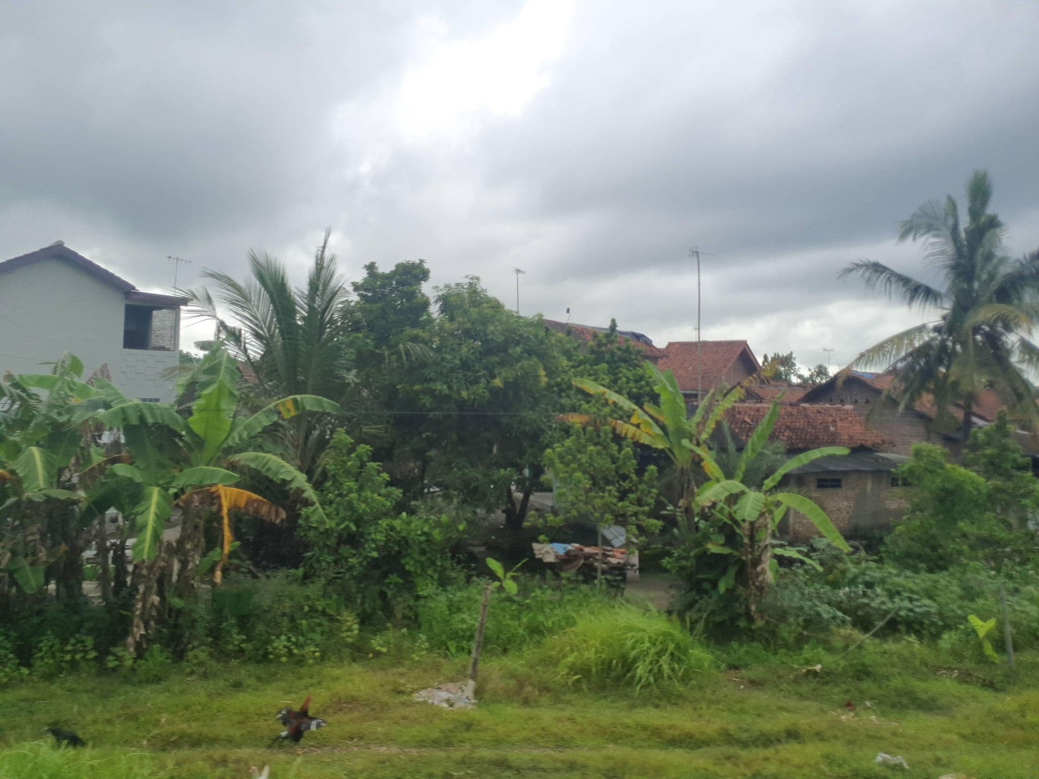 Street view near Hotel Sejahtera, Gombong — © russmcd (CC BY-SA · Mapillary)