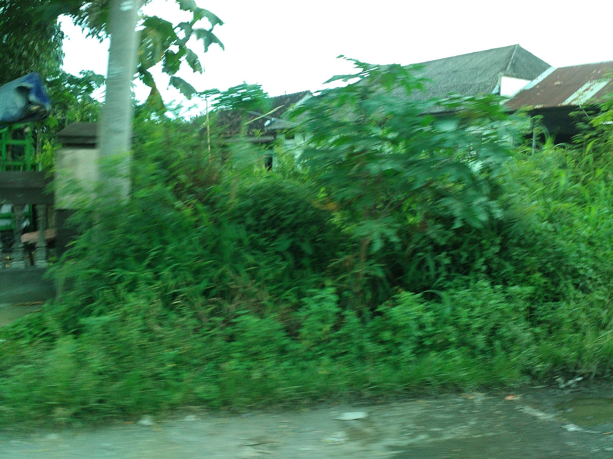 Street view near Eastparc Hotel, Pokak — © arizalkawamuna (CC BY-SA · Mapillary)