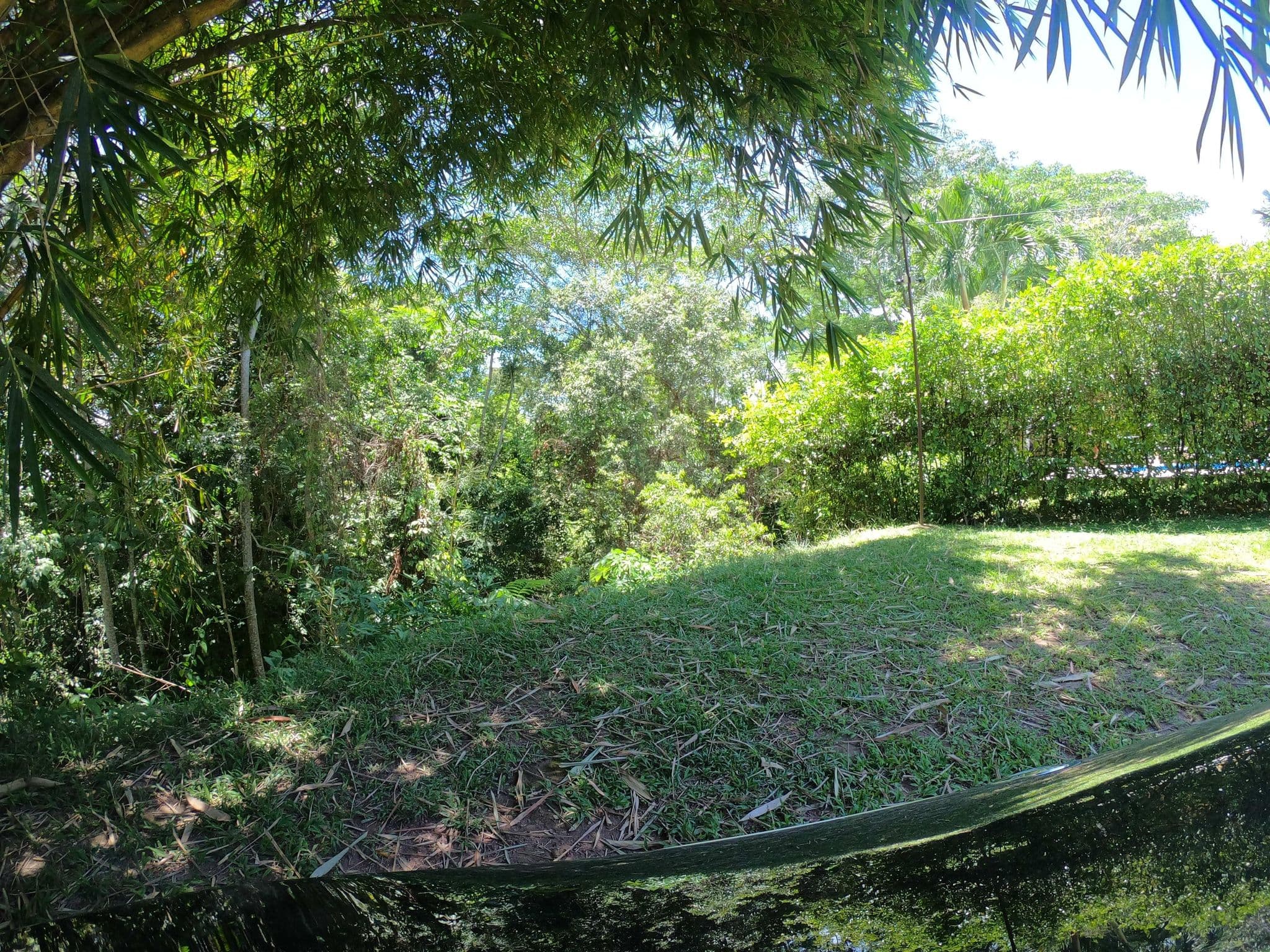 Street view near Hotel Parador del Gitano, Puerto Triunfo — © angoca (CC BY-SA · Mapillary)