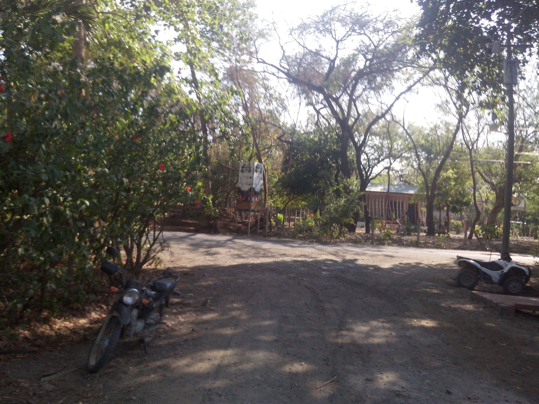 Street view near Gilded Iguana Hotel, Sámara