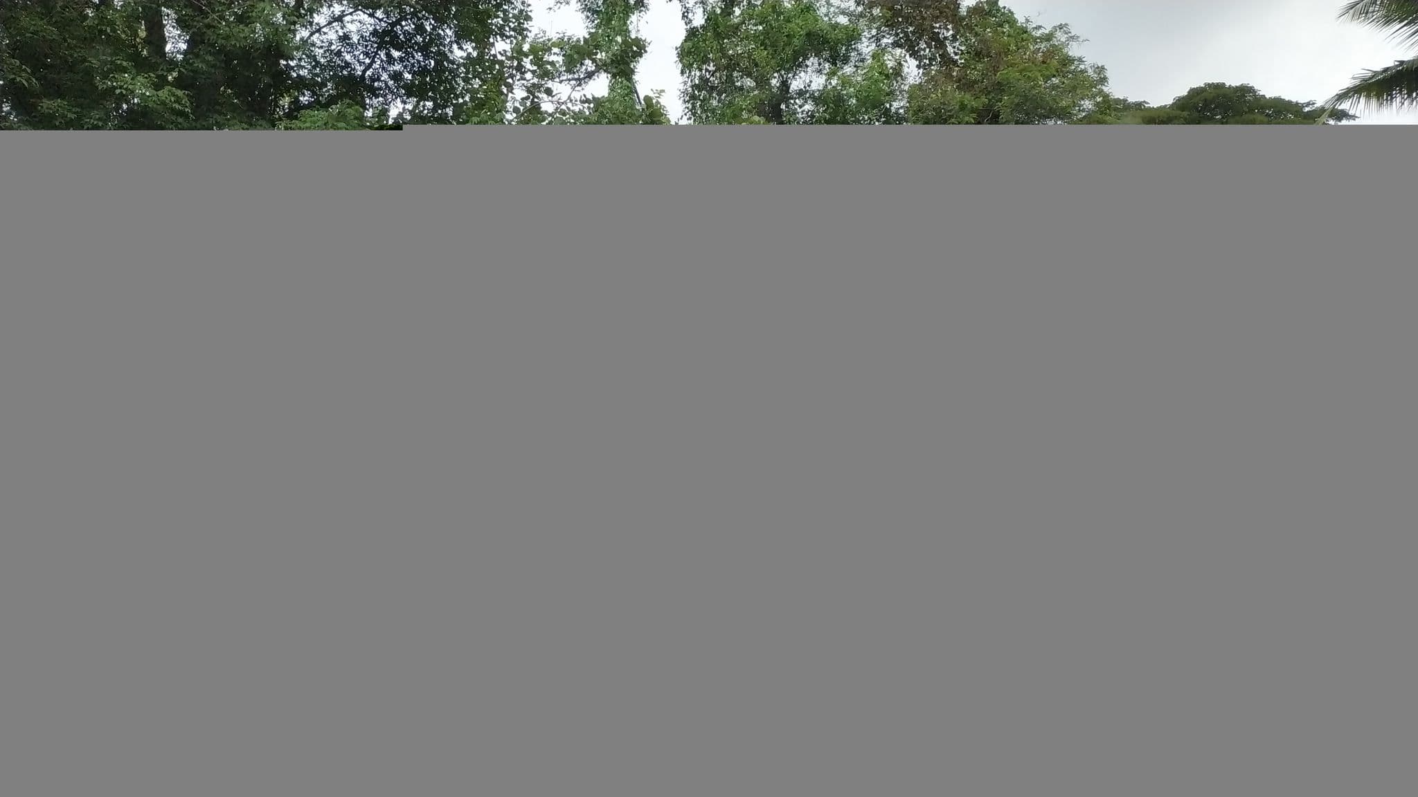 Street view near hotel melati panorama, Weleri — © zainabr (CC BY-SA · Mapillary)