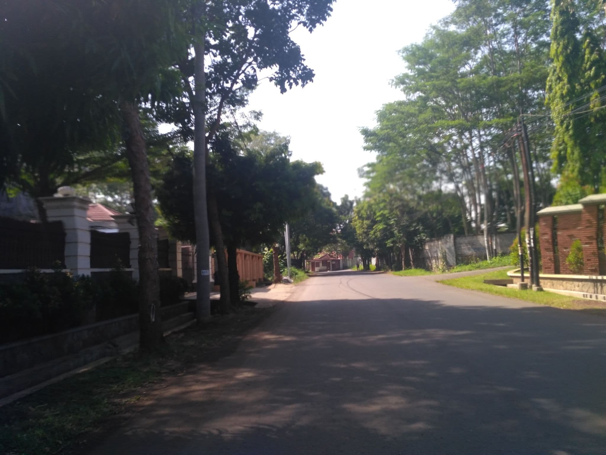 Street view near Oak Tree Emerland, Semarang — © nicolas_samosir (CC BY-SA · Mapillary)