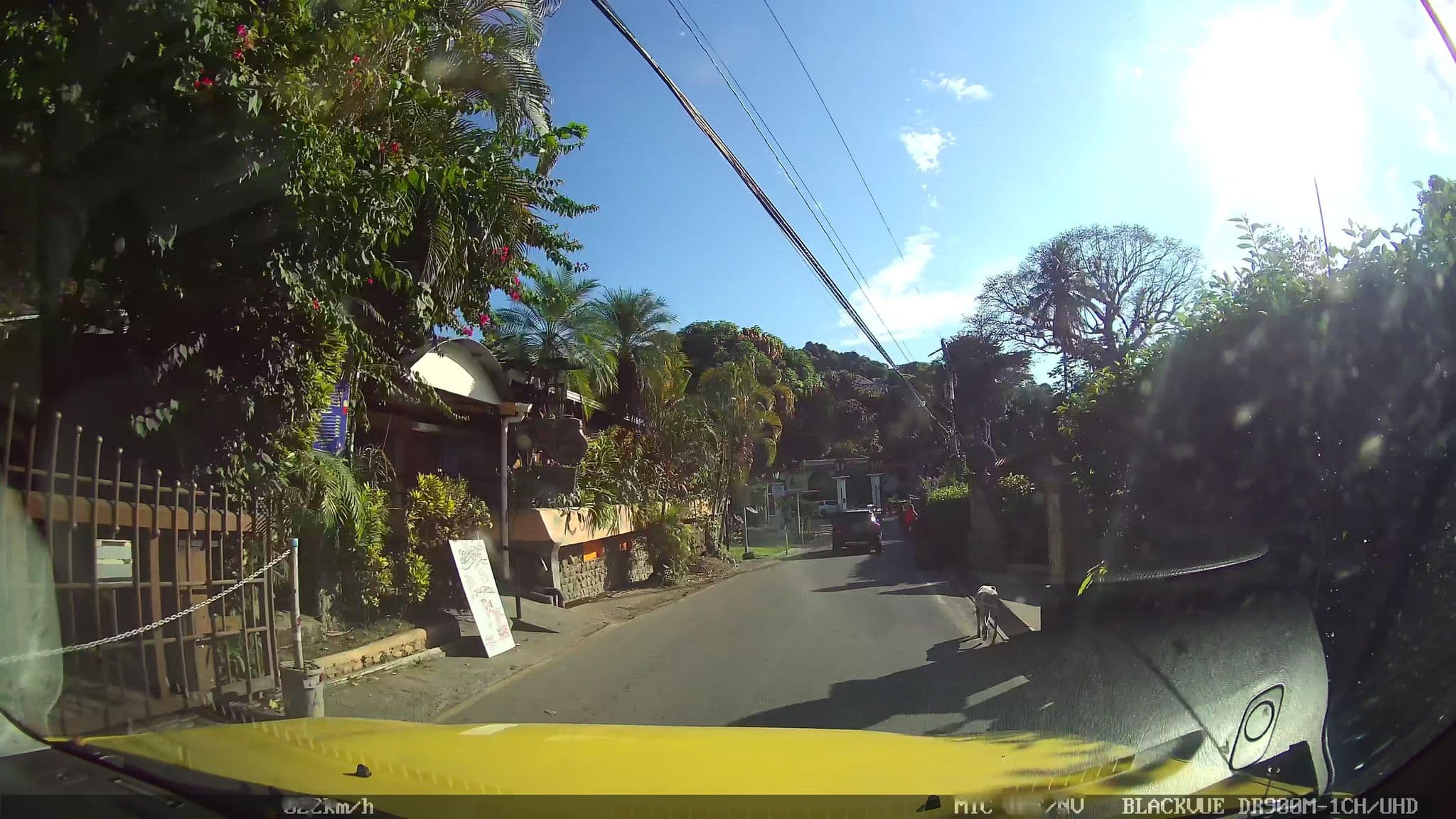 Street view near Hotel Vela Bar, Quepos
