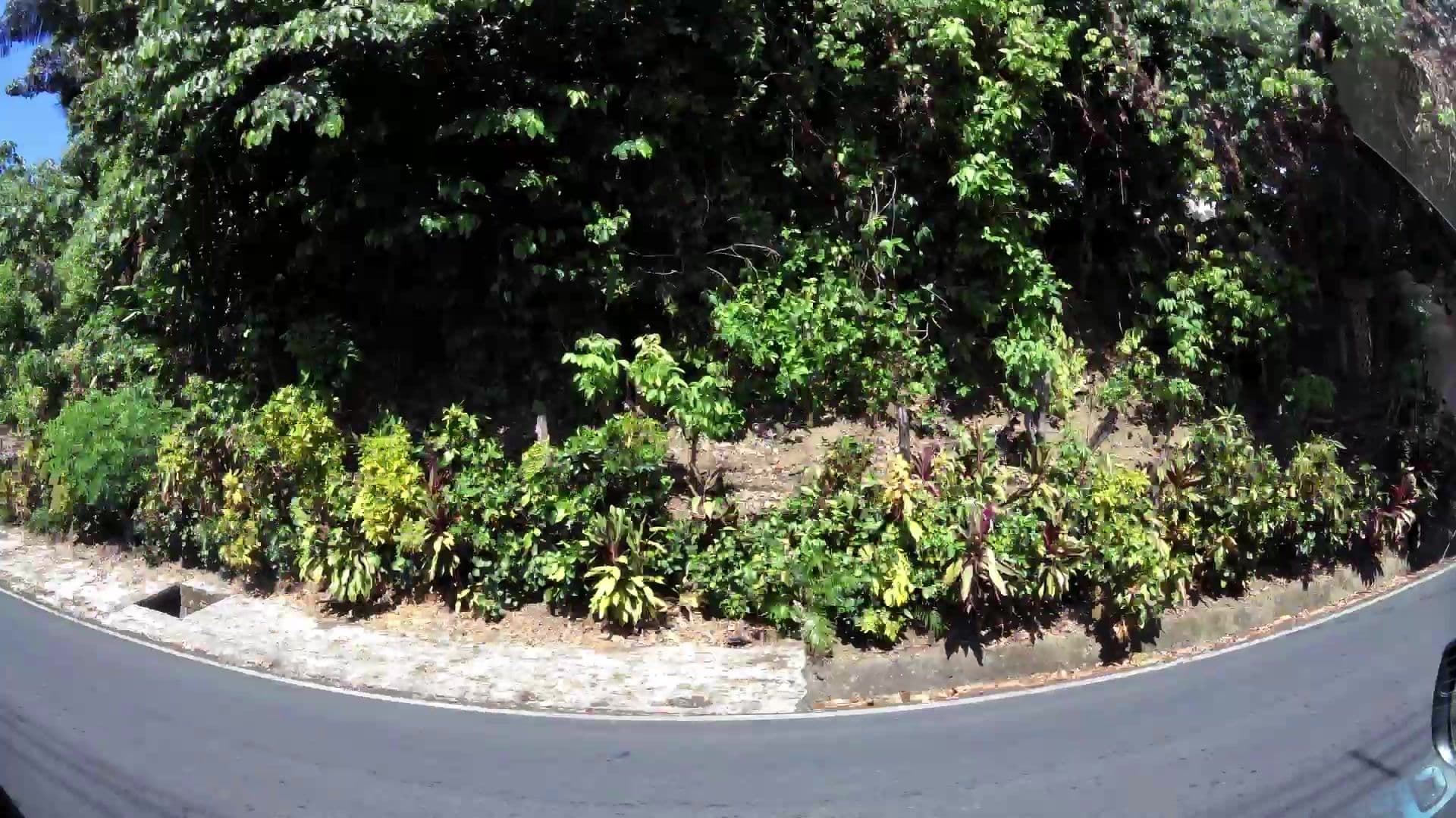 Street view near Karahe, Quepos