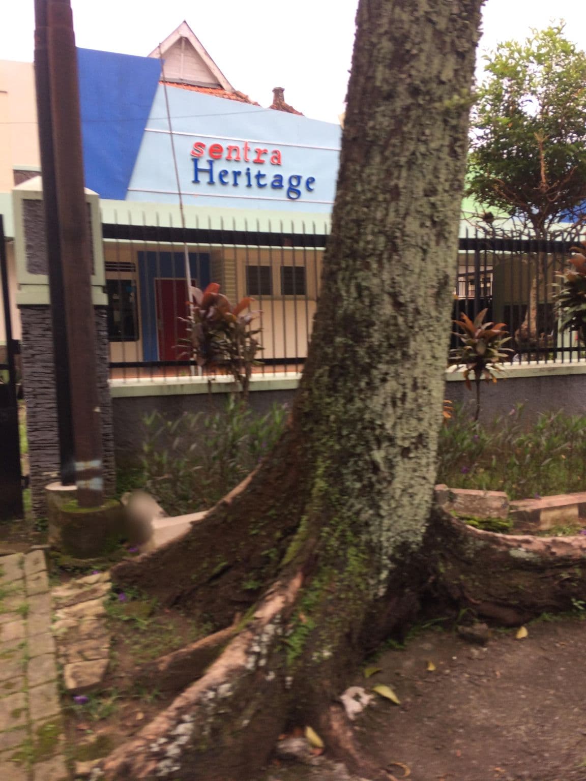 Street view near Airy Klojen Lamongan 12 Malang, Malang — © maphunter_id (CC BY-SA · Mapillary)