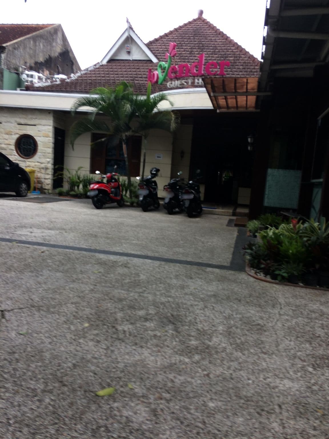 Street view near Lovender Guest House & Resto, Malang — © maphunter_id (CC BY-SA · Mapillary)