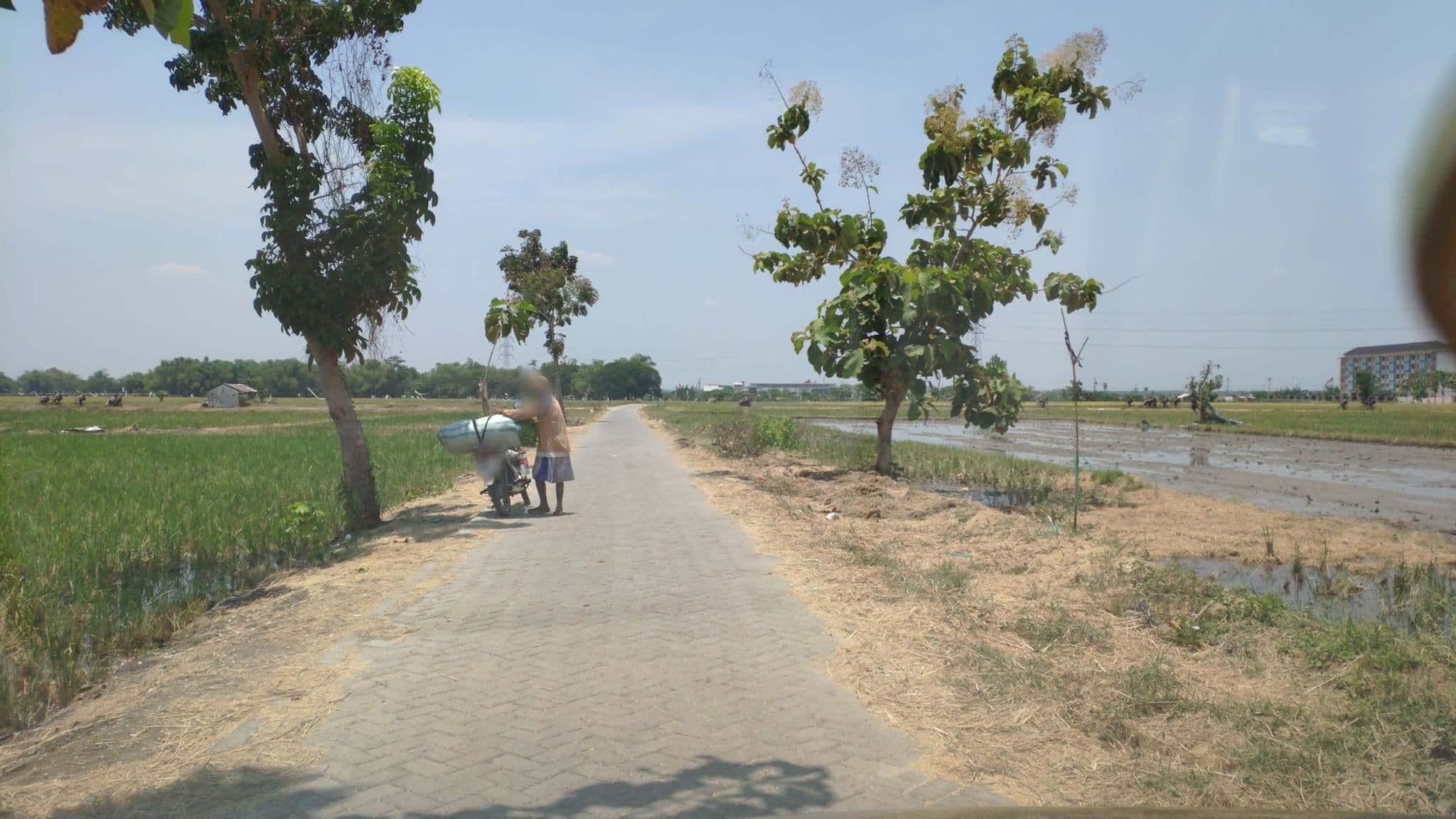 Street view near Grand Mega Resort &Spa Cepu Blora, Cepu — © roadroid (CC BY-SA · Mapillary)