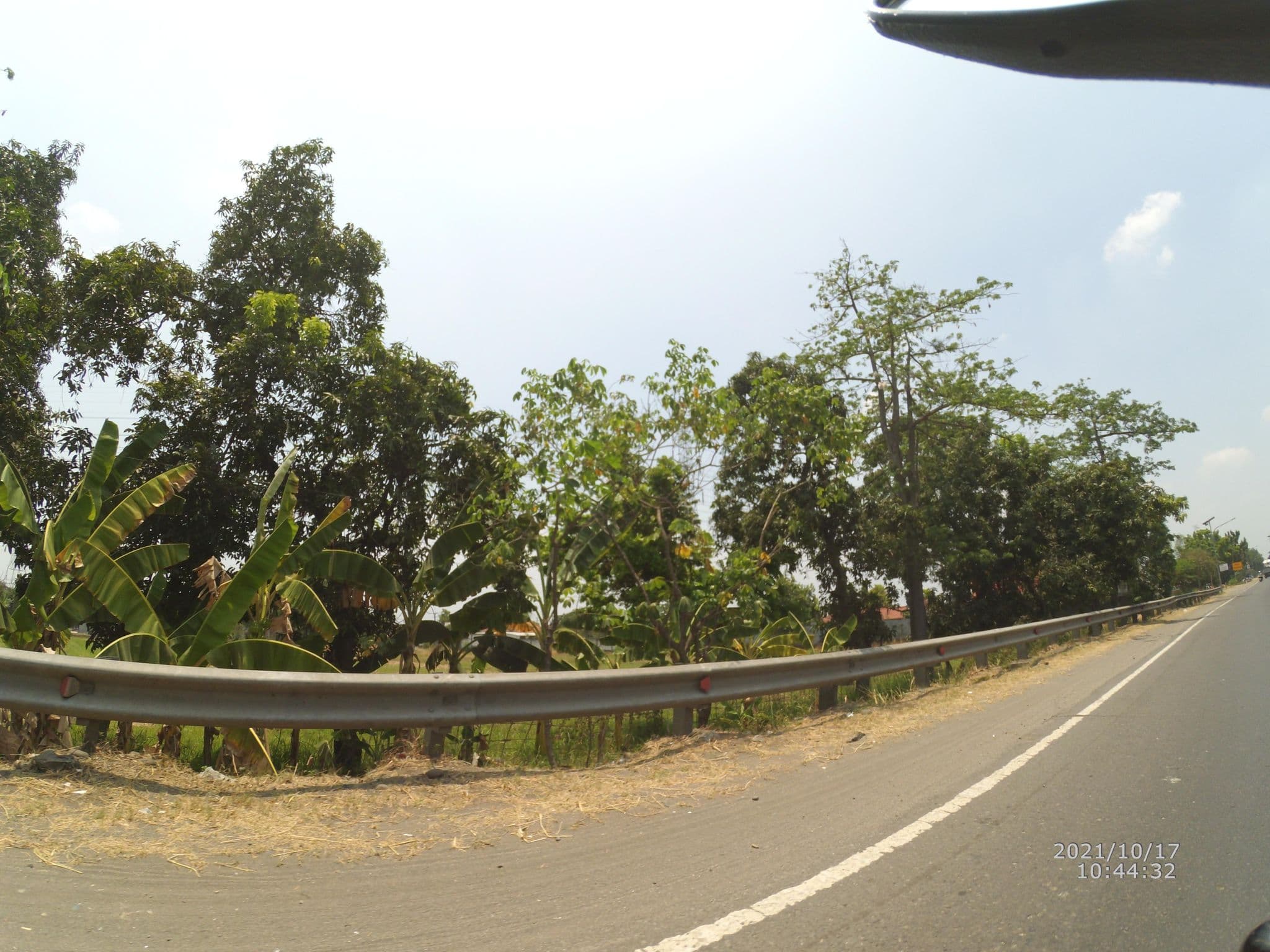 Street view near Hotel telaga mas sarangan, Mojokerto — © maphunter_id (CC BY-SA · Mapillary)