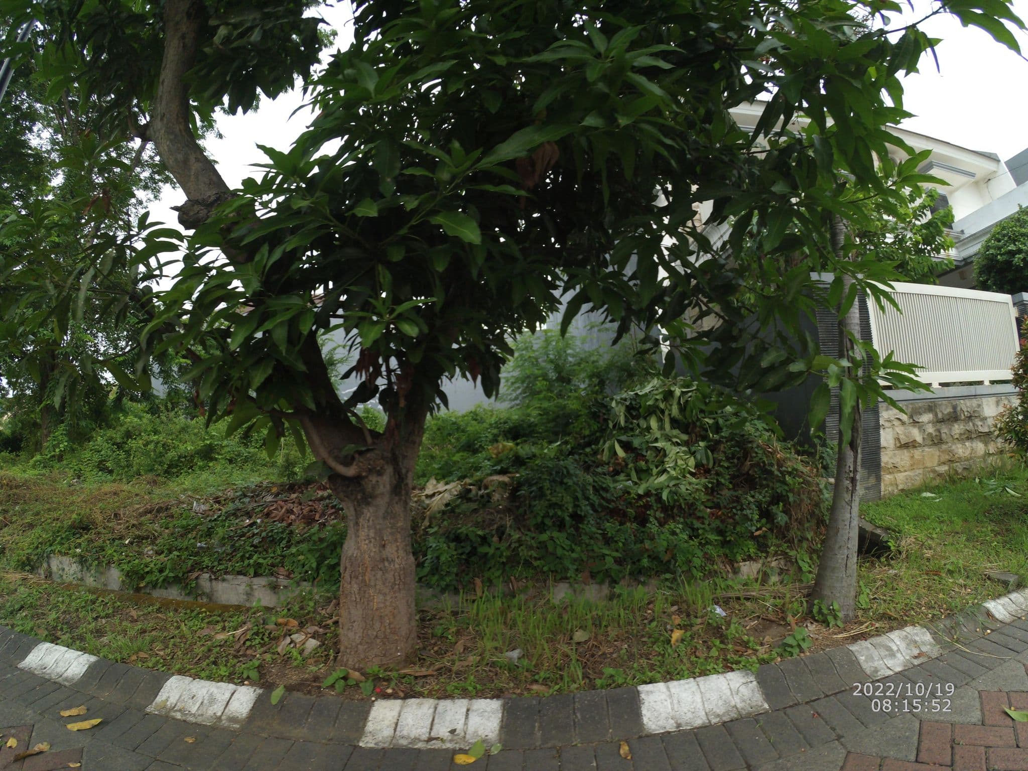 Street view near Ontel Guest House, Driyorejo — © maphunter_id (CC BY-SA · Mapillary)