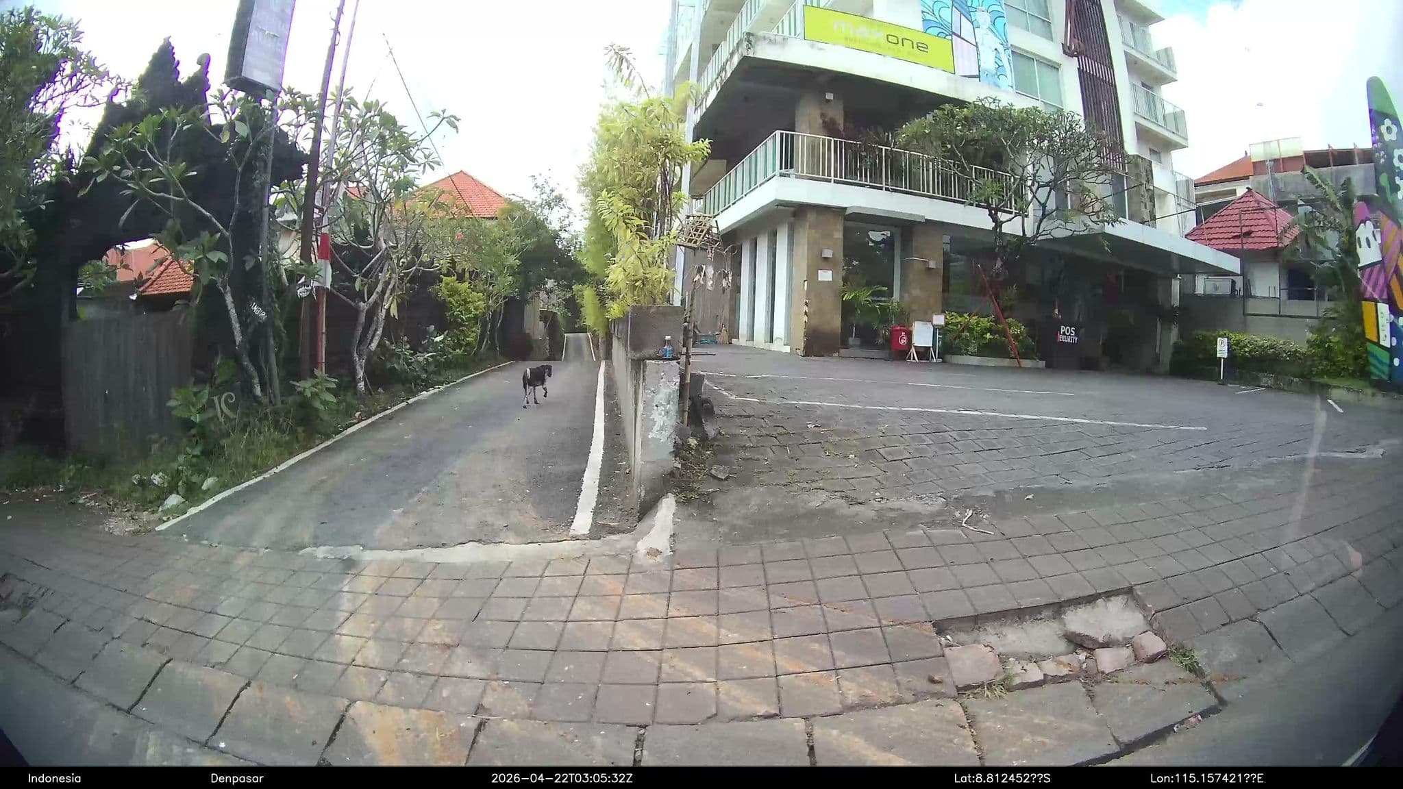Street view near Maxone Hotel, Jimbaran — © Kaart---360 (CC BY-SA · Mapillary)