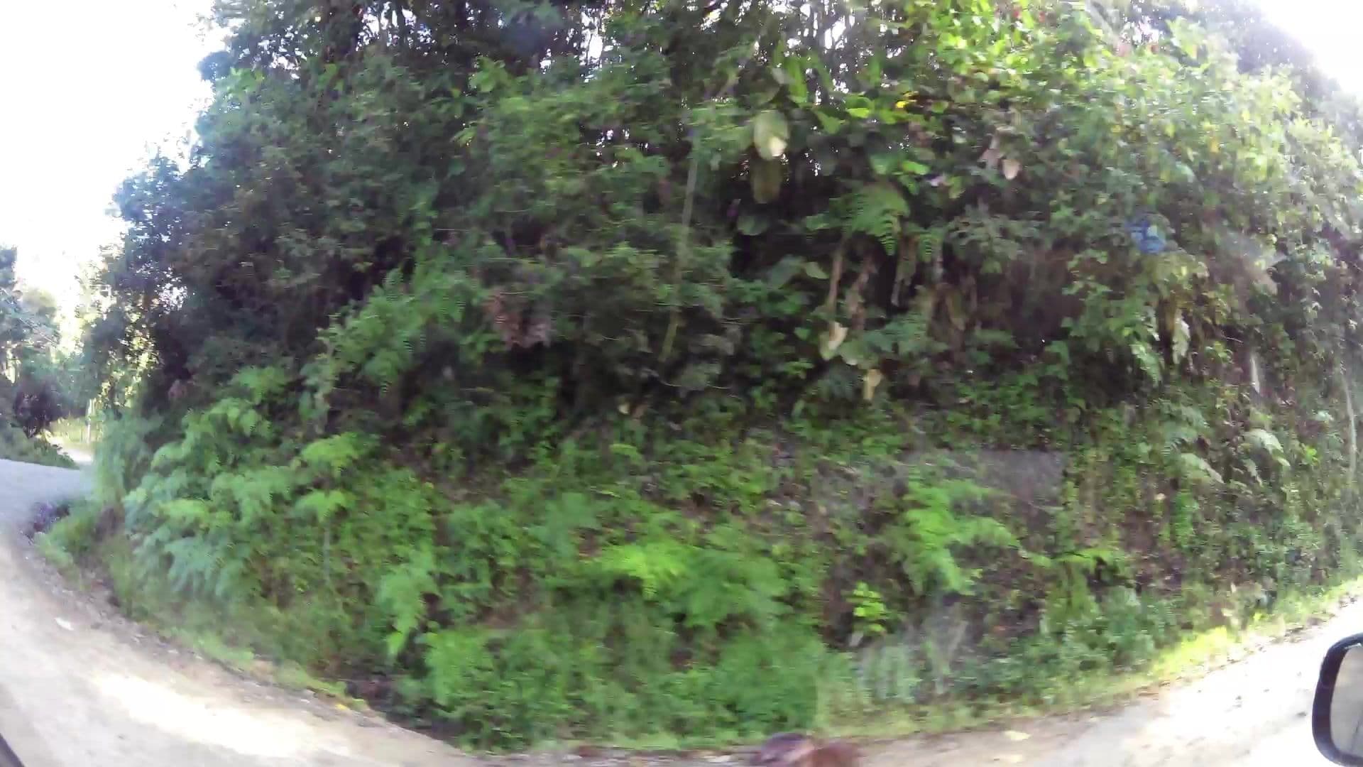 Street view near Hotel Mariposa, Juntas