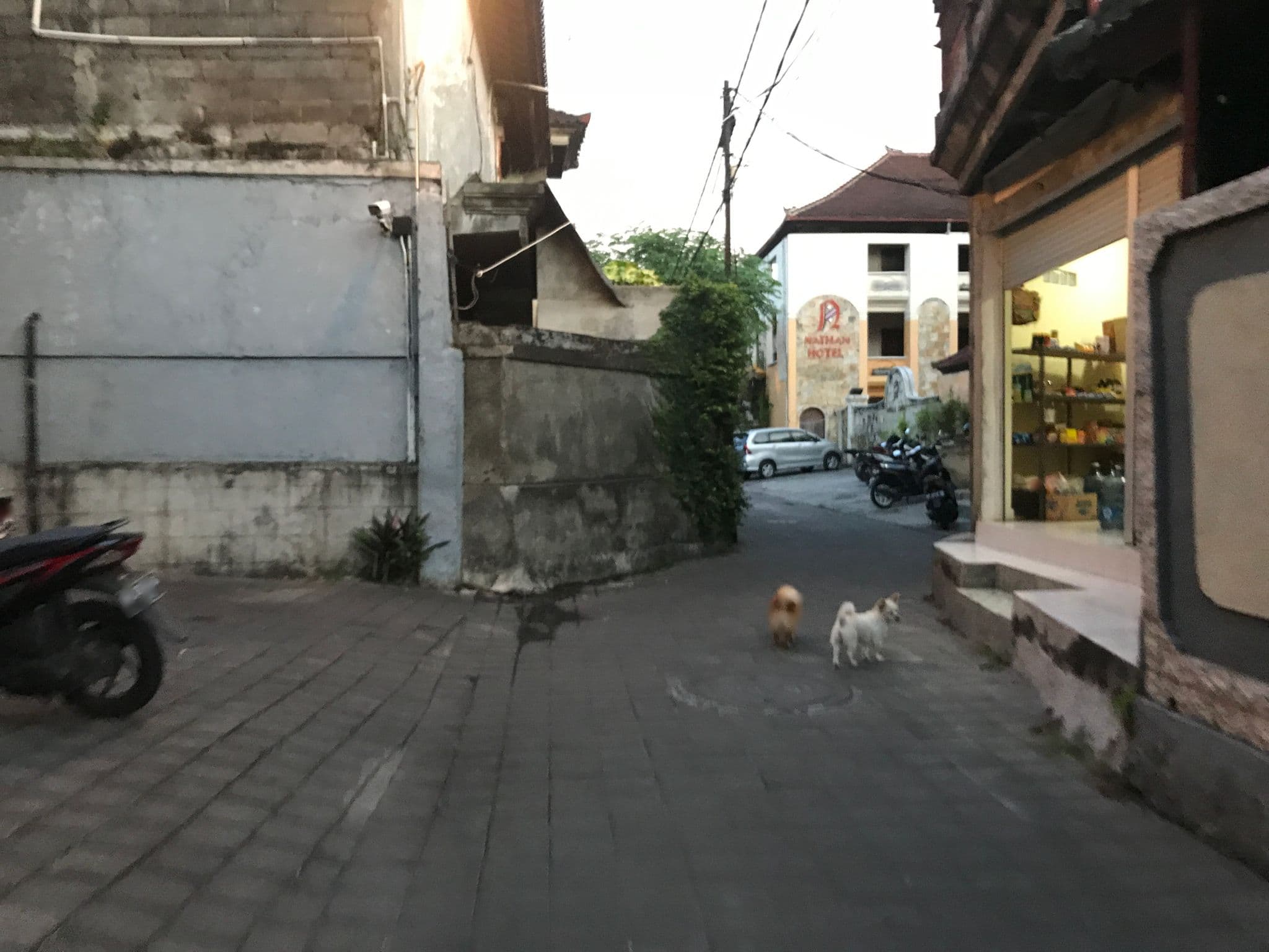 Street view near Airy Kuta Kartika Plaza Gang Puspa Ayu 238 Bali, Kuta — © alekseyrm (CC BY-SA · Mapillary)