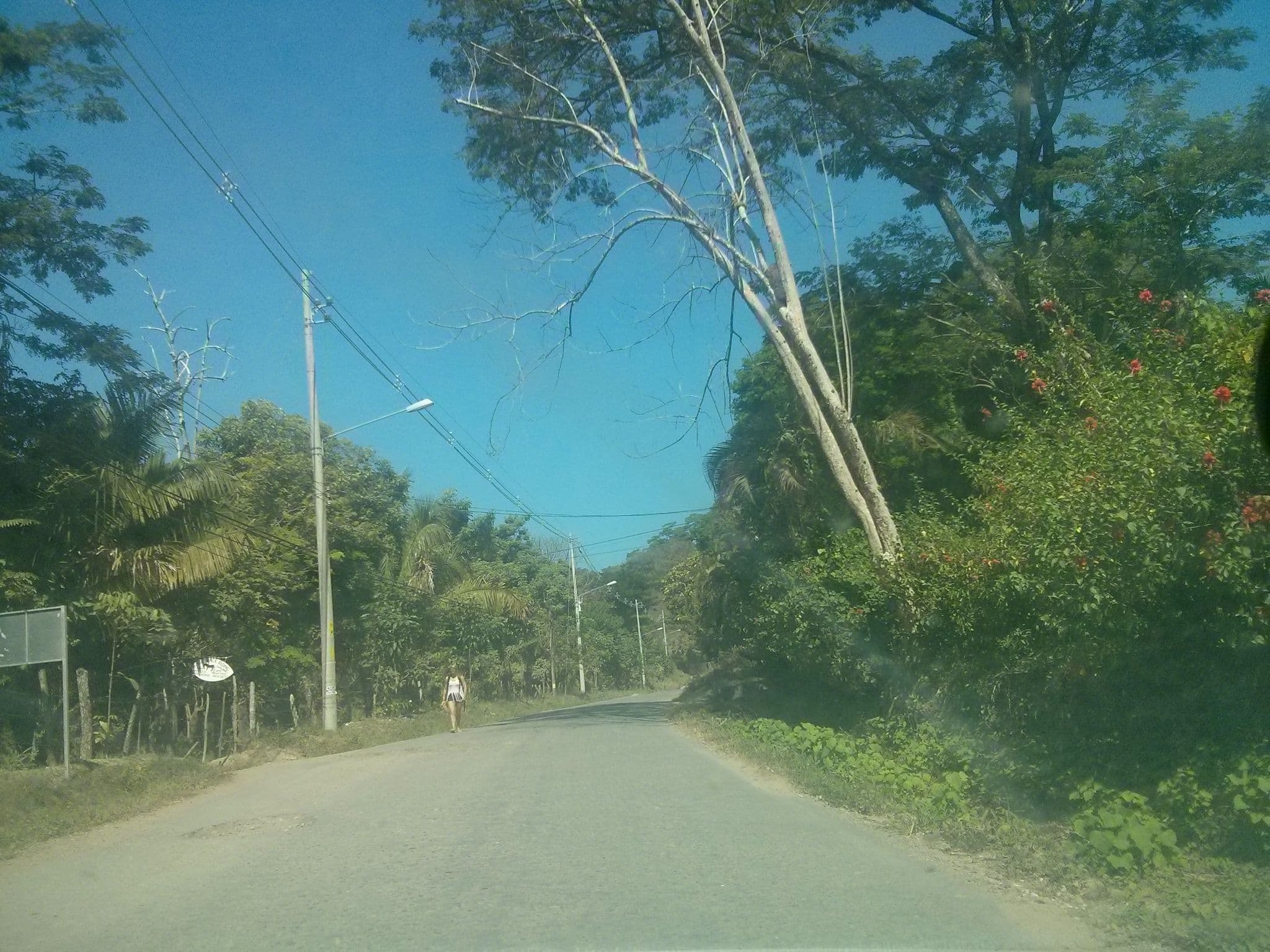 Street view near Las Casitas Doradas, Paquera