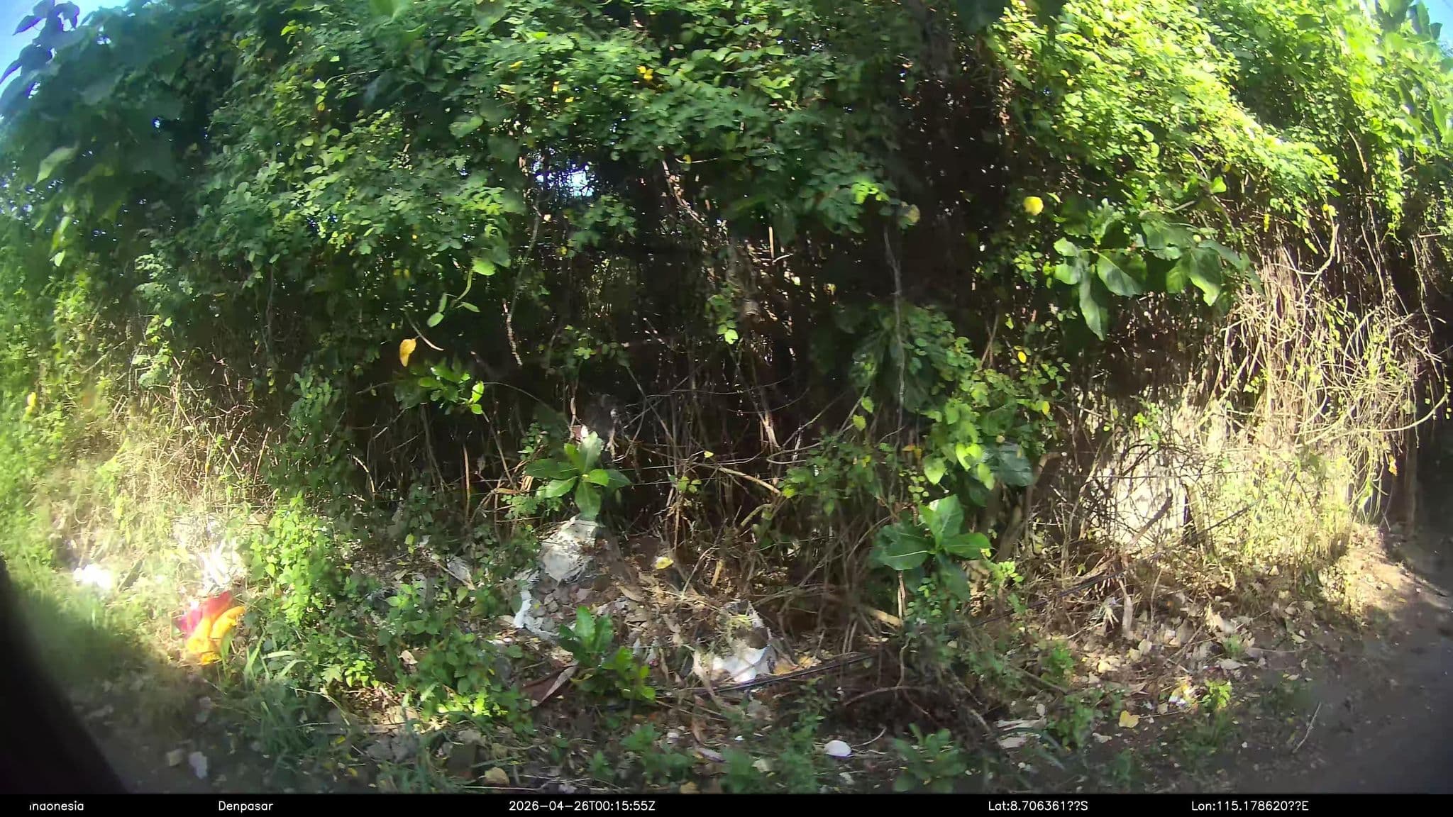 Street view near Bali Luxury Villas, Legian — © Kaart---RIGHT (CC BY-SA · Mapillary)