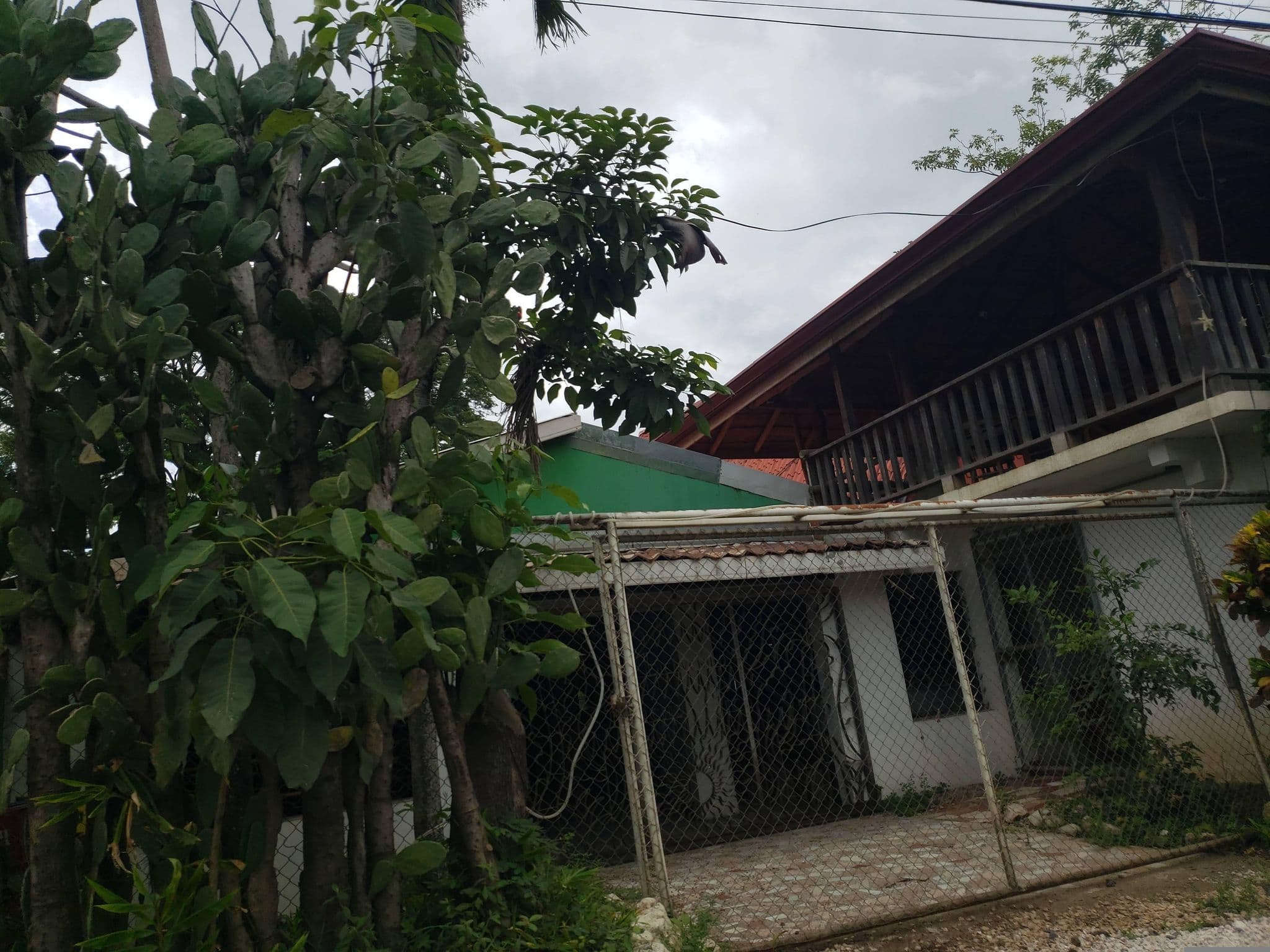 Street view near Rancho Tico Cabinas, Sámara