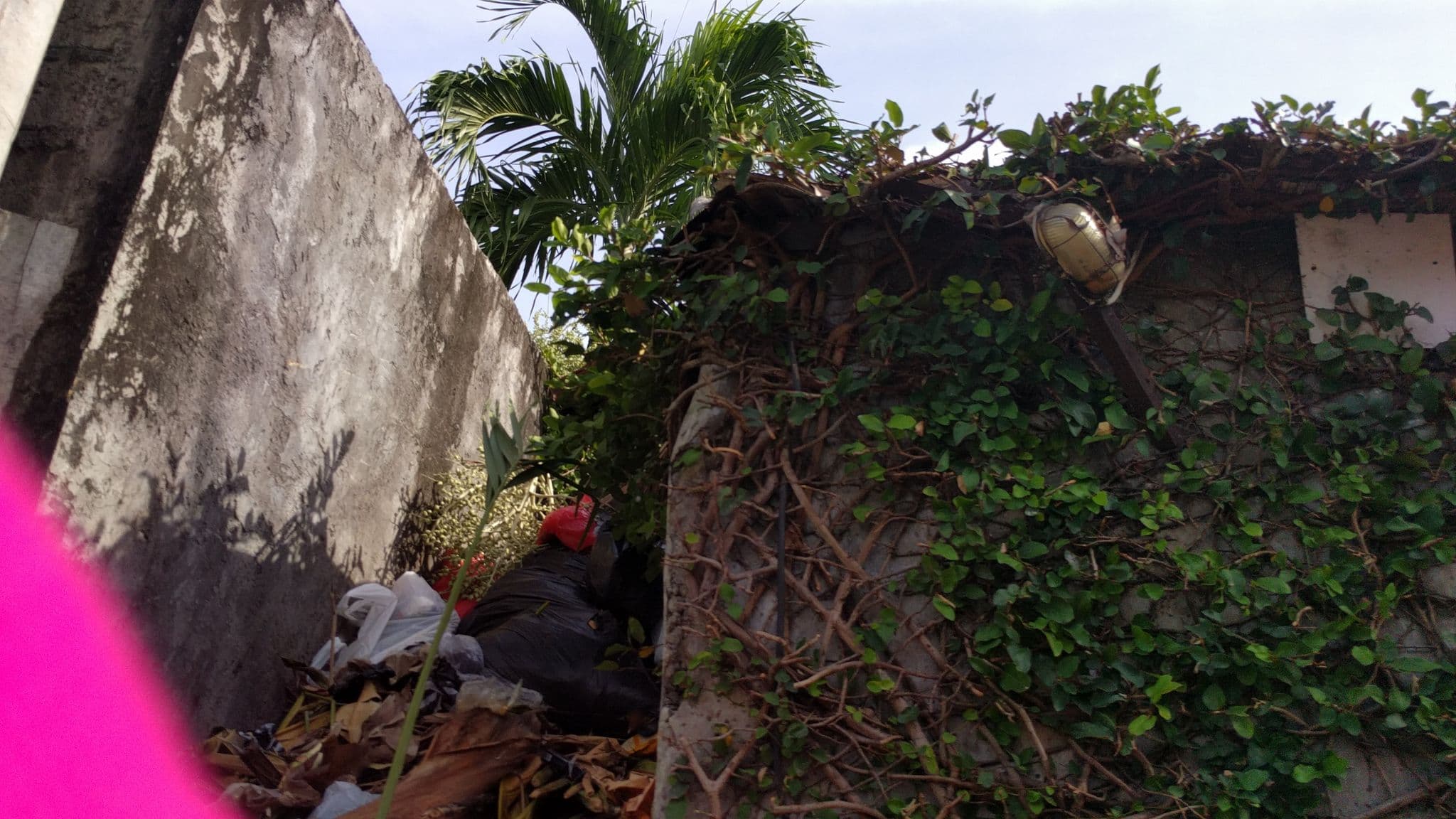 Street view near Bless Villa, Legian — © tfachrina (CC BY-SA · Mapillary)