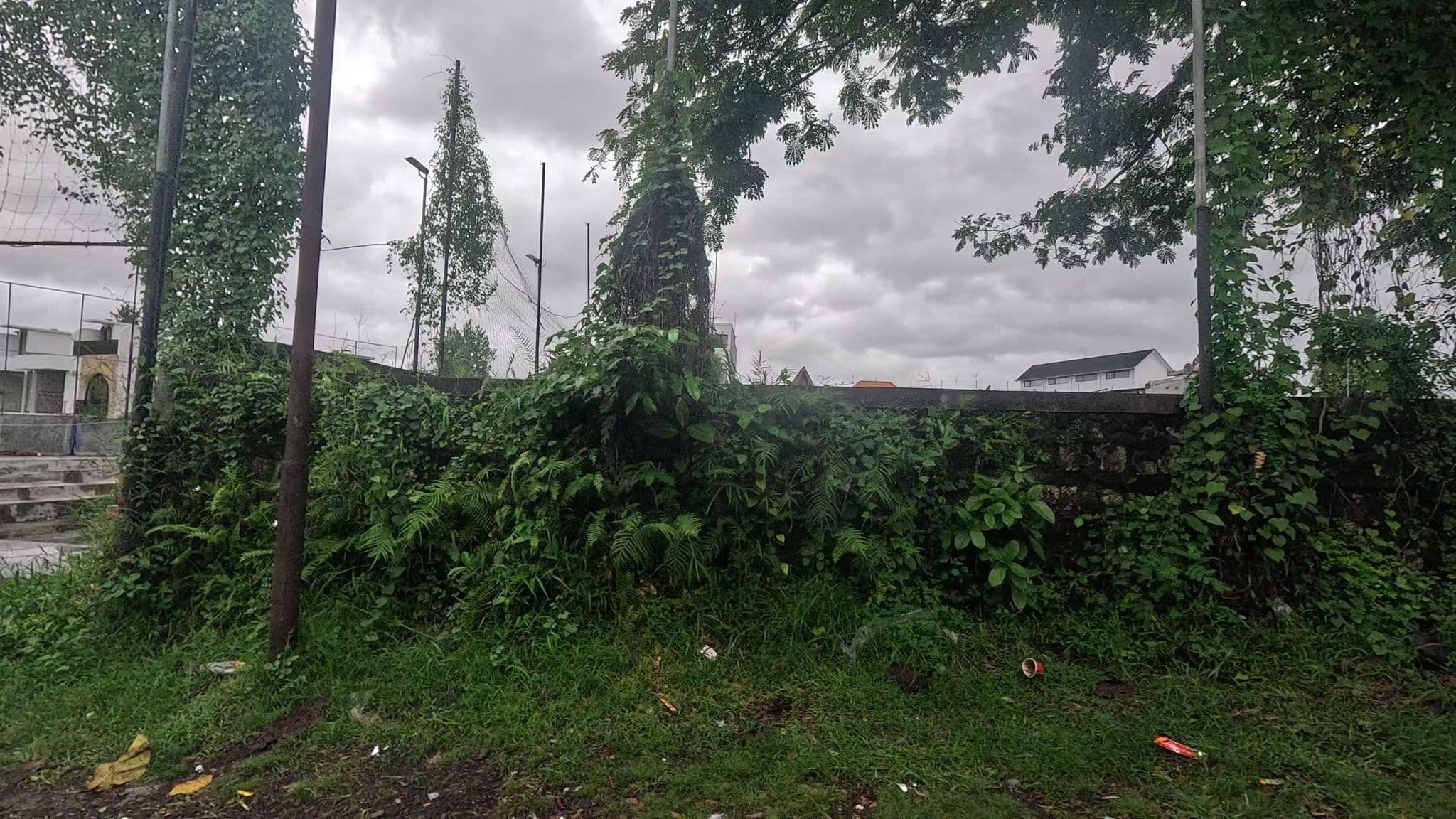 Street view near Ombak Bagus, Dalung — © alyapuspita (CC BY-SA · Mapillary)