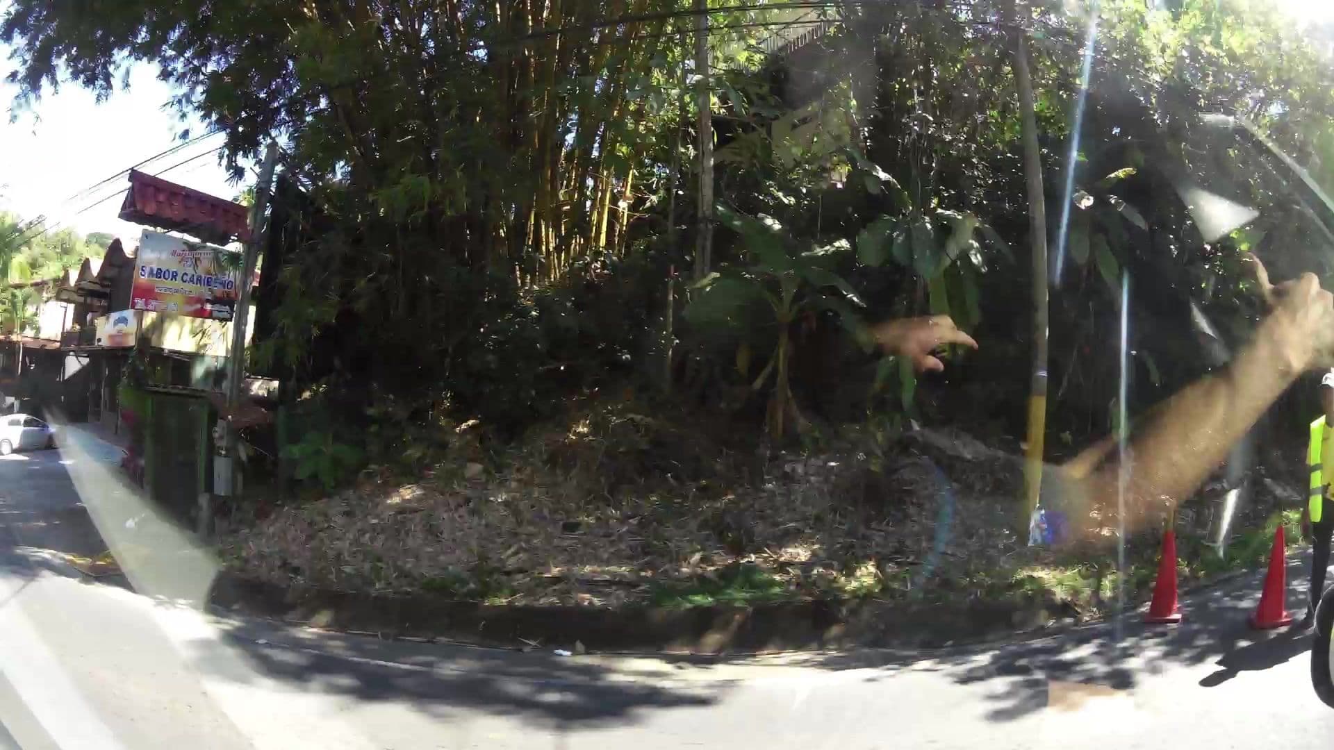 Street view near Mimos, Quepos