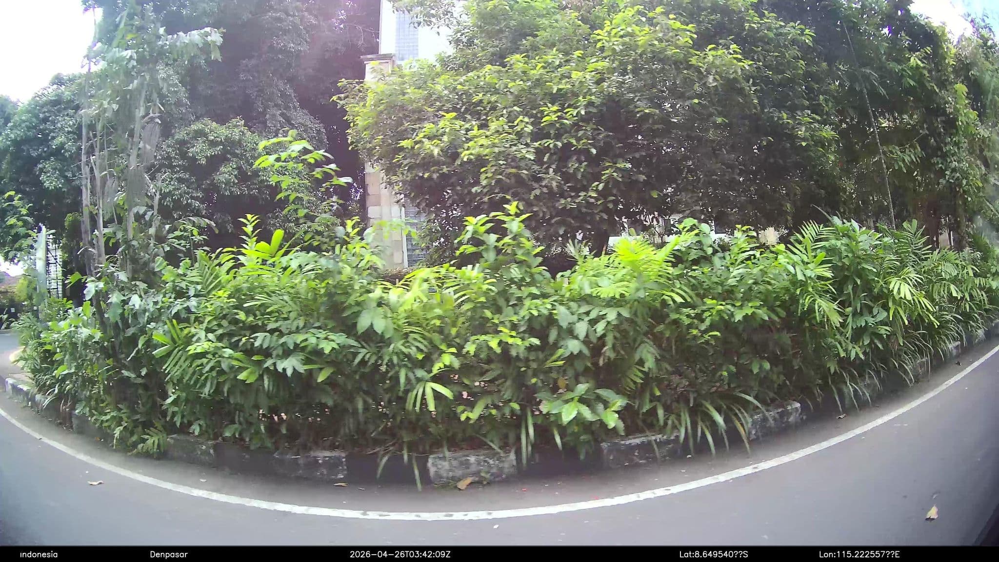 Street view near Hotel arha buana, Denpasar — © Kaart---RIGHT (CC BY-SA · Mapillary)