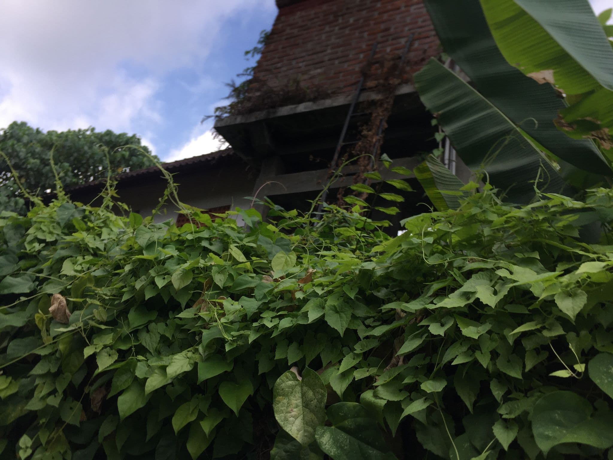 Street view near Gerebig Bungalow, Ubud — © nickp (CC BY-SA · Mapillary)