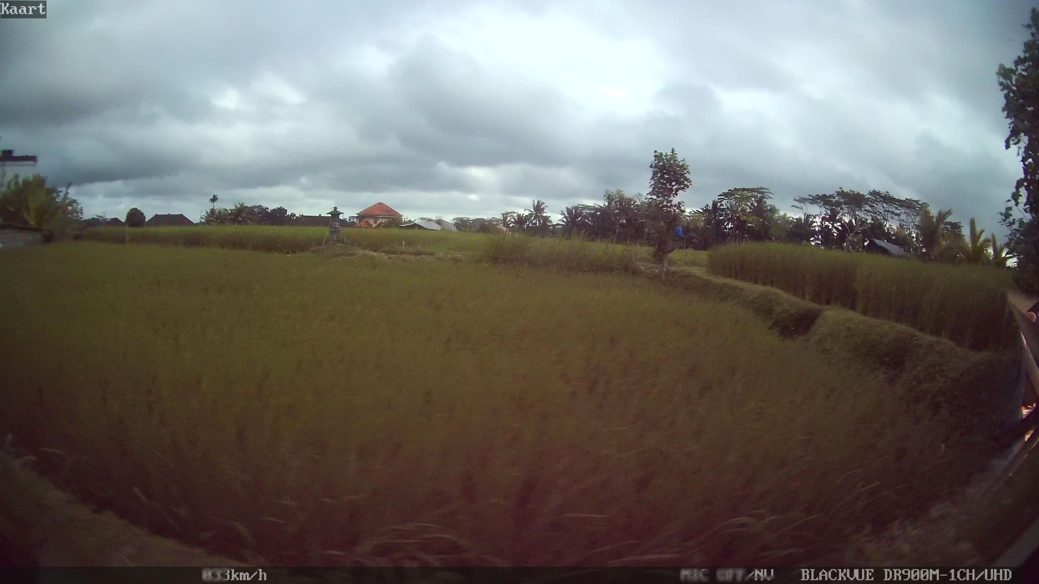 Street view near Cenik Villa, Ubud — © kaart_1 (CC BY-SA · Mapillary)