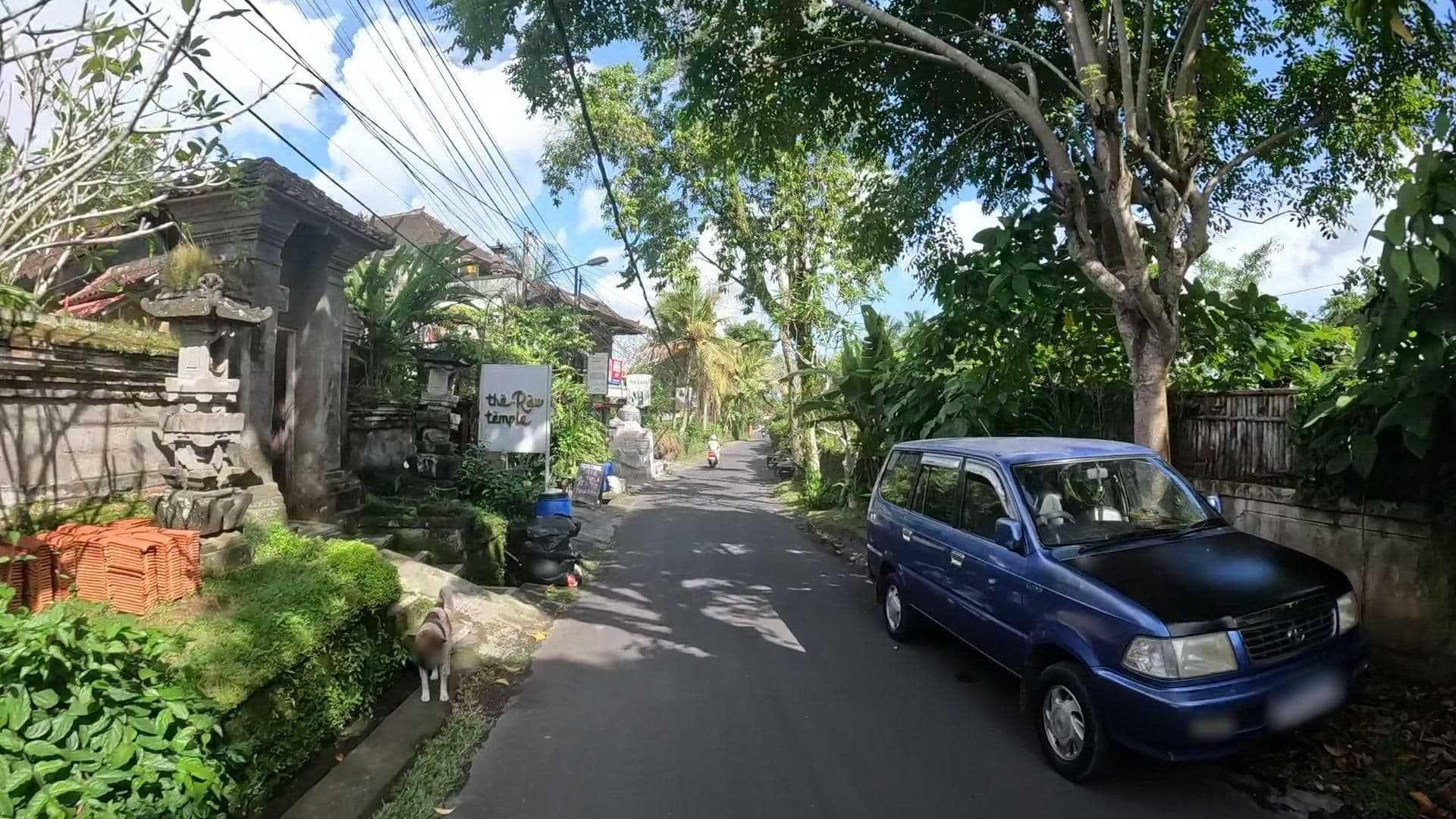 Street view near Capung Sakti Villas, Ubud — © lucomsky (CC BY-SA · Mapillary)
