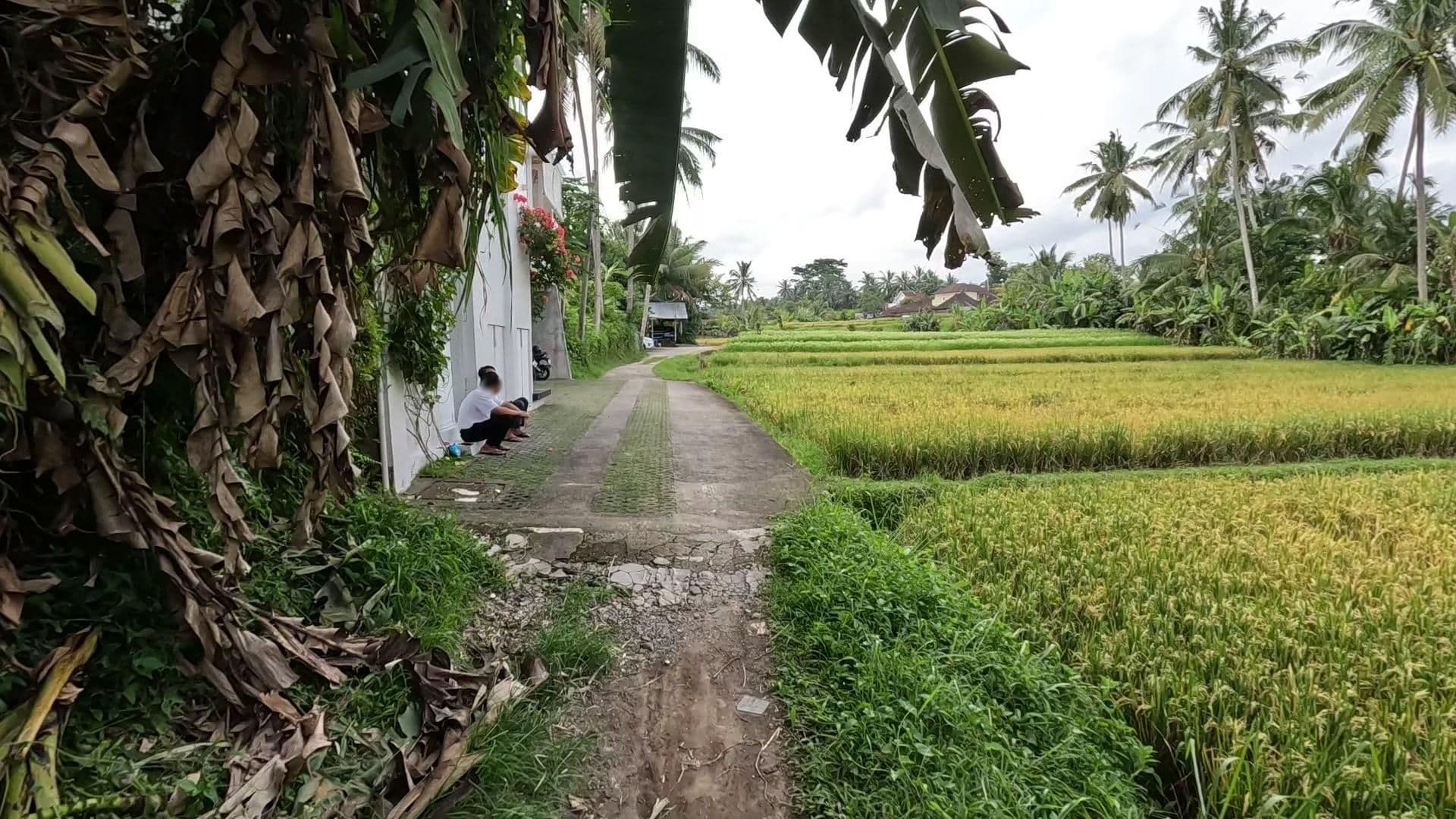 Street view near Kishi-Kishi House II, Ubud — © lucomsky (CC BY-SA · Mapillary)