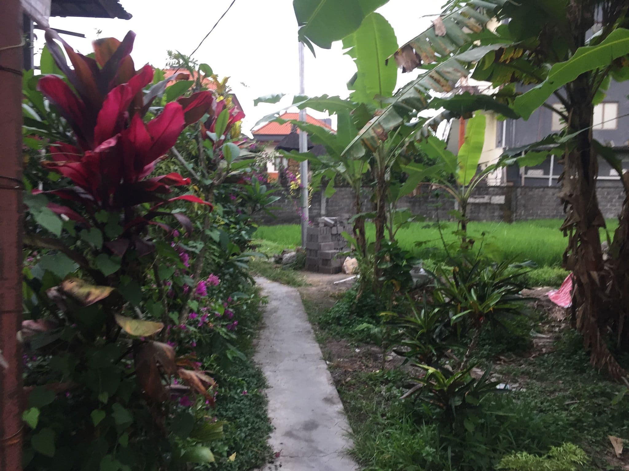 Street view near Puri Bayu homestay, Ubud — © nickp (CC BY-SA · Mapillary)