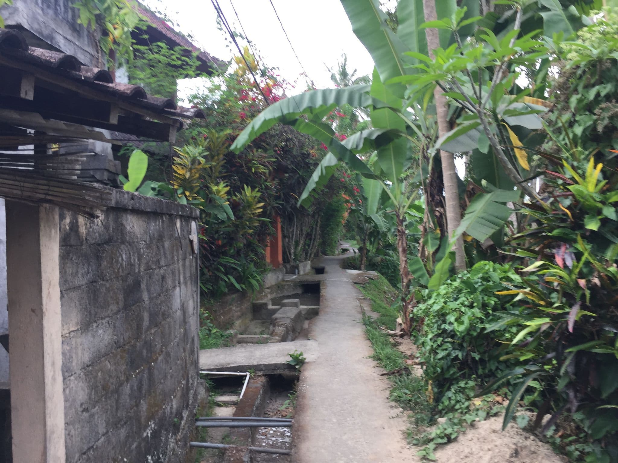 Street view near Above the Palm Treed, Ubud — © nickp (CC BY-SA · Mapillary)