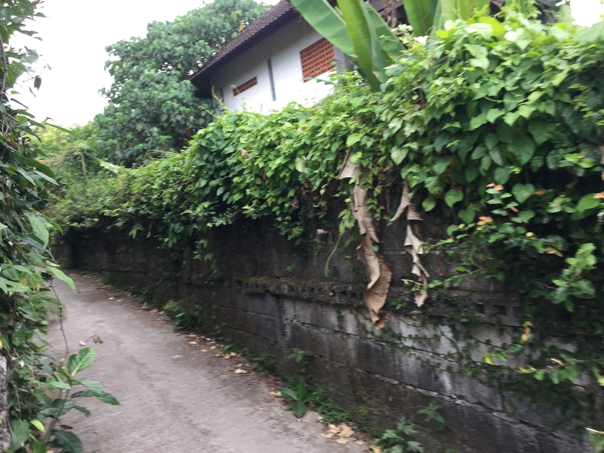 Street view near Gerebig Bungalows, Swimming Pool, Ubud — © nickp (CC BY-SA · Mapillary)
