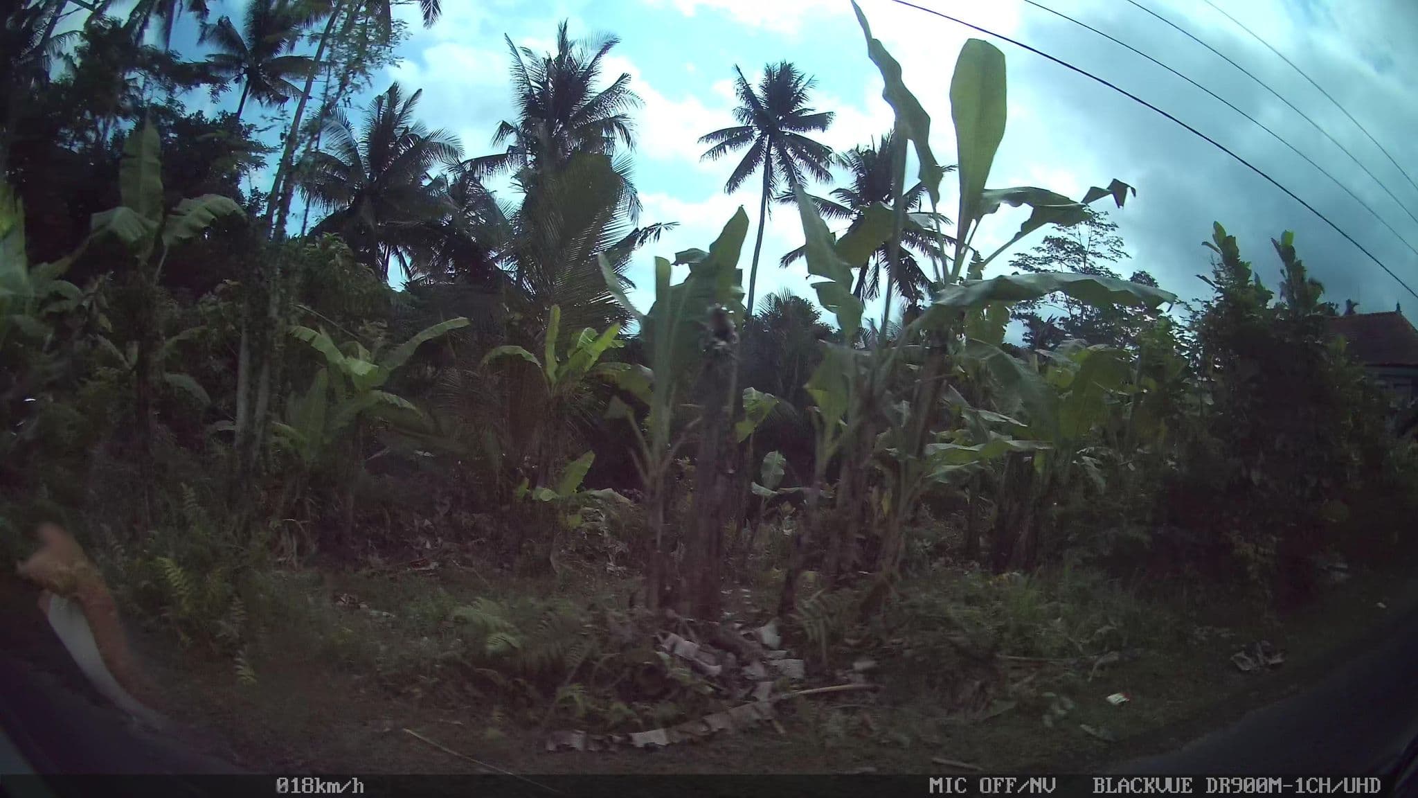 Street view near Pesantian Villa Pejeng Ubud, Ubud — © kaart_1 (CC BY-SA · Mapillary)