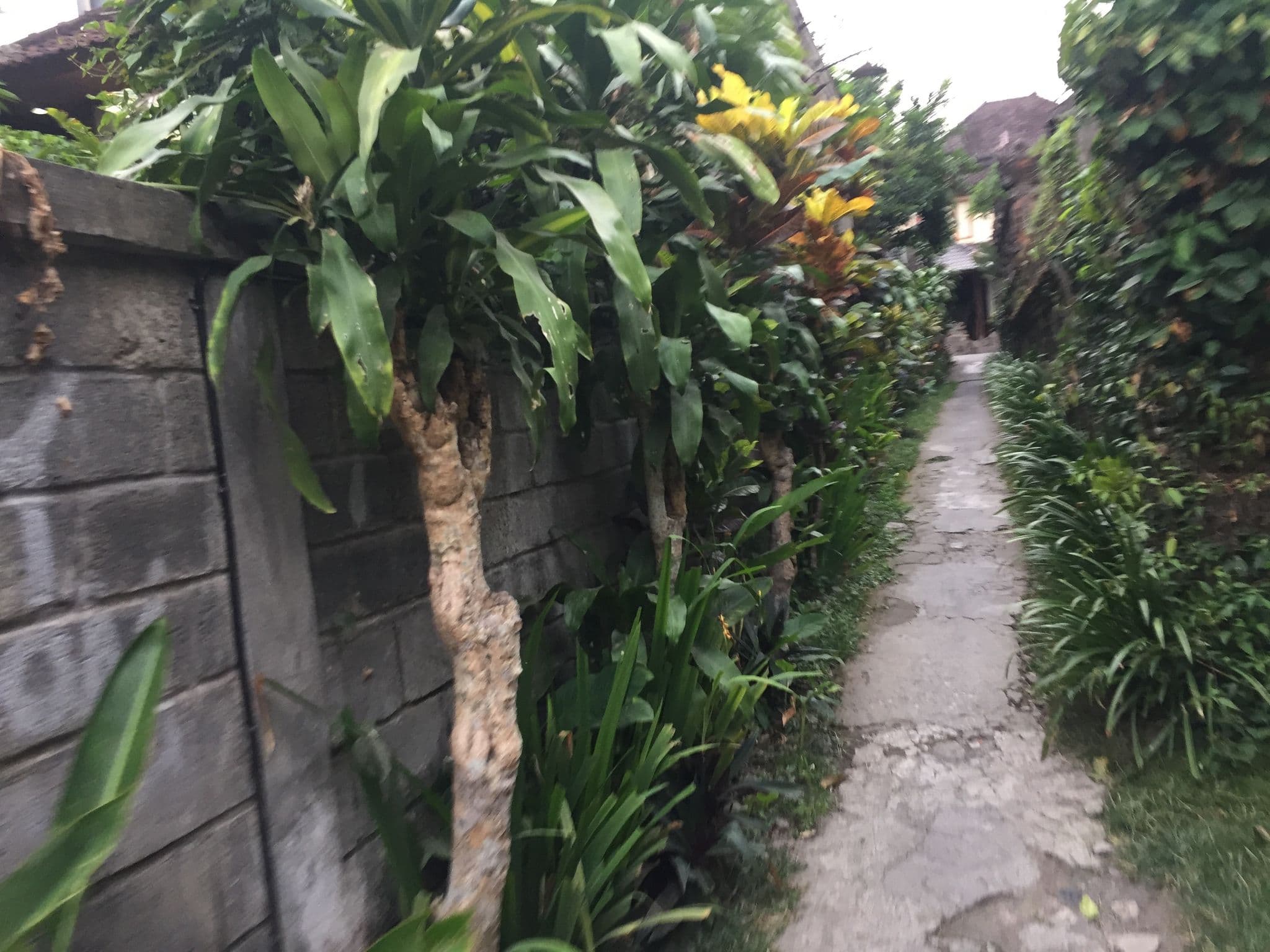 Street view near Villa Nirvana and River Cafe, Ubud — © nickp (CC BY-SA · Mapillary)