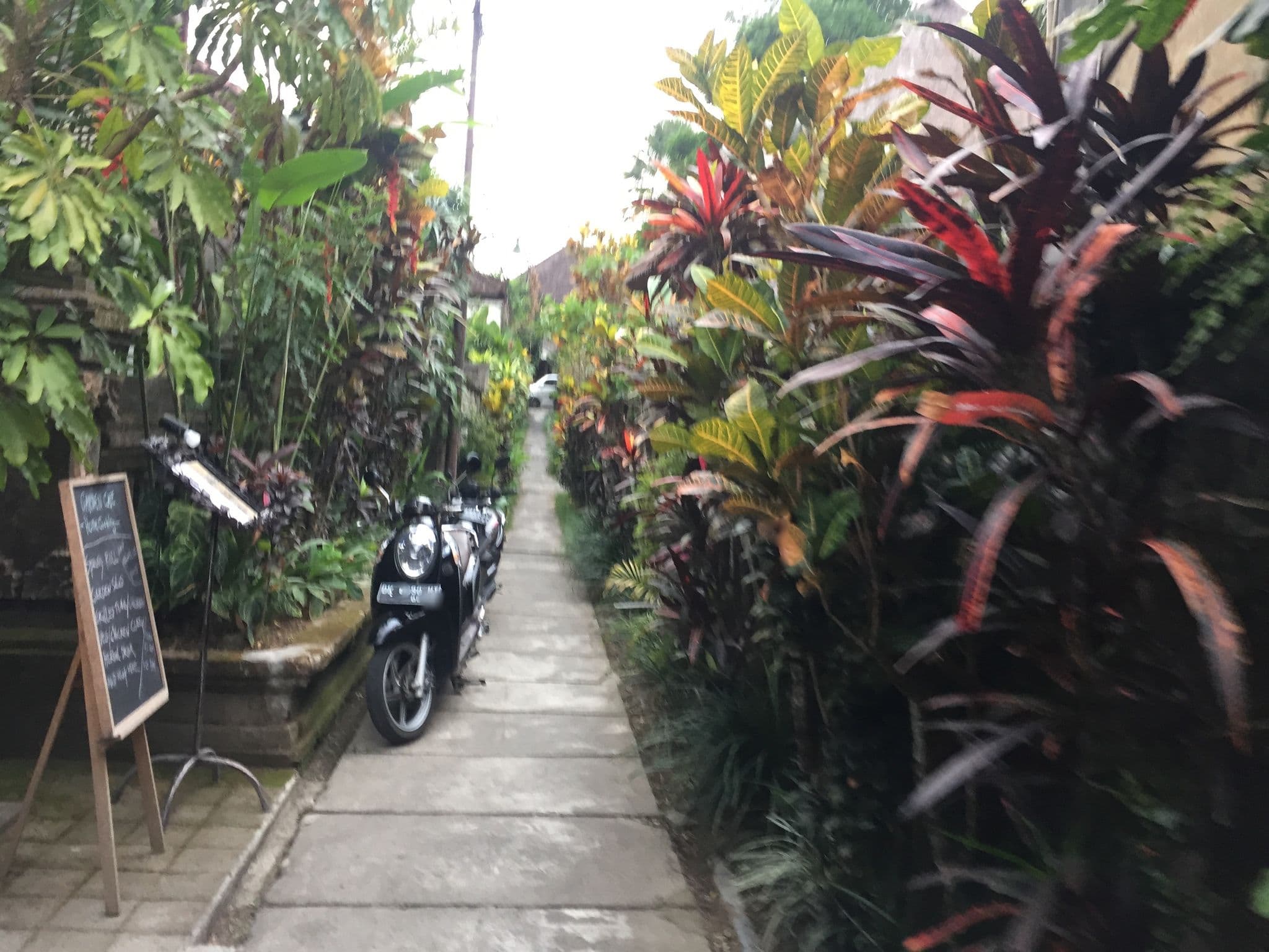 Street view near Rouge Bali - Lounge Bar, Villas & Spa, Ubud — © nickp (CC BY-SA · Mapillary)