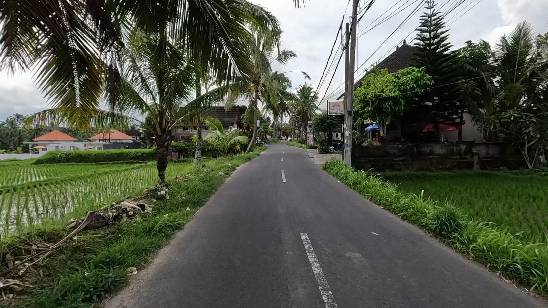 Street view near Villa Padi Menari, Ubud — © lucomsky (CC BY-SA · Mapillary)