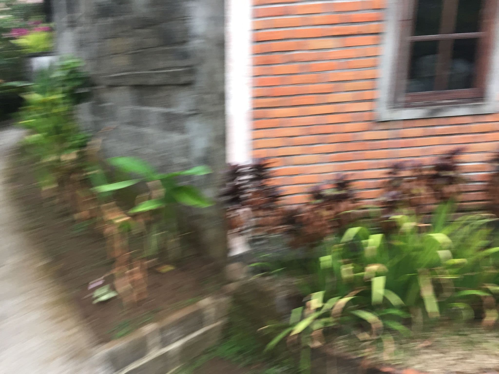 Street view near Spa Hati, Ubud — © nickp (CC BY-SA · Mapillary)