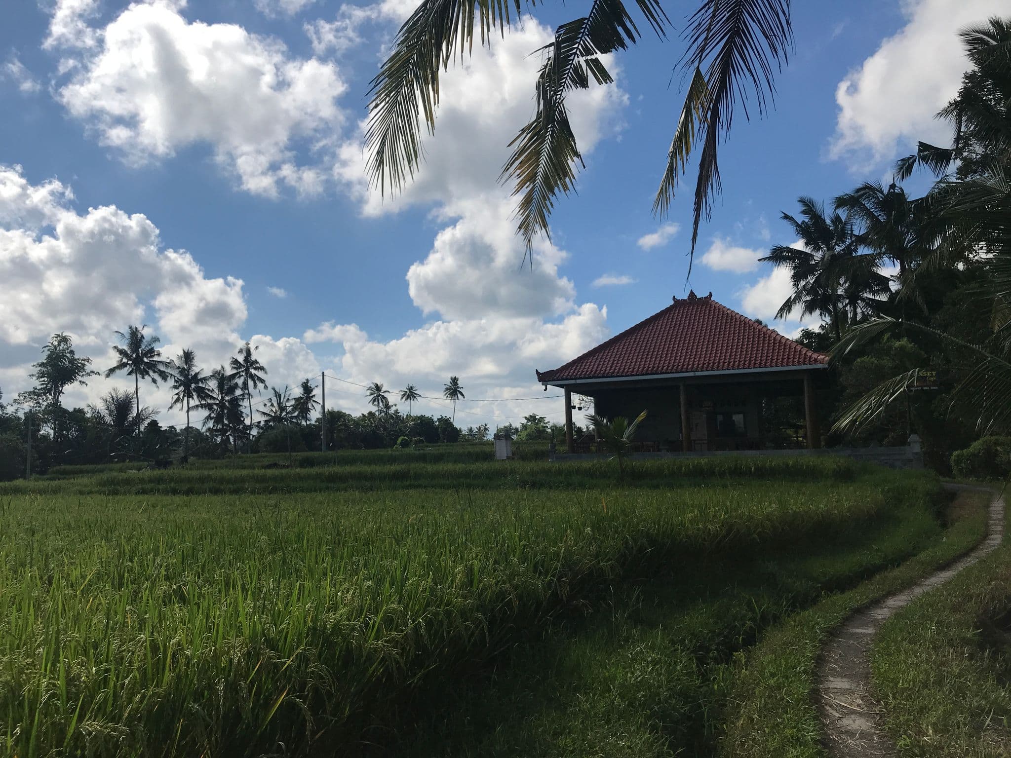 Street view near Sunset Cafe And Bungalow, Ubud — © alekseyrm (CC BY-SA · Mapillary)