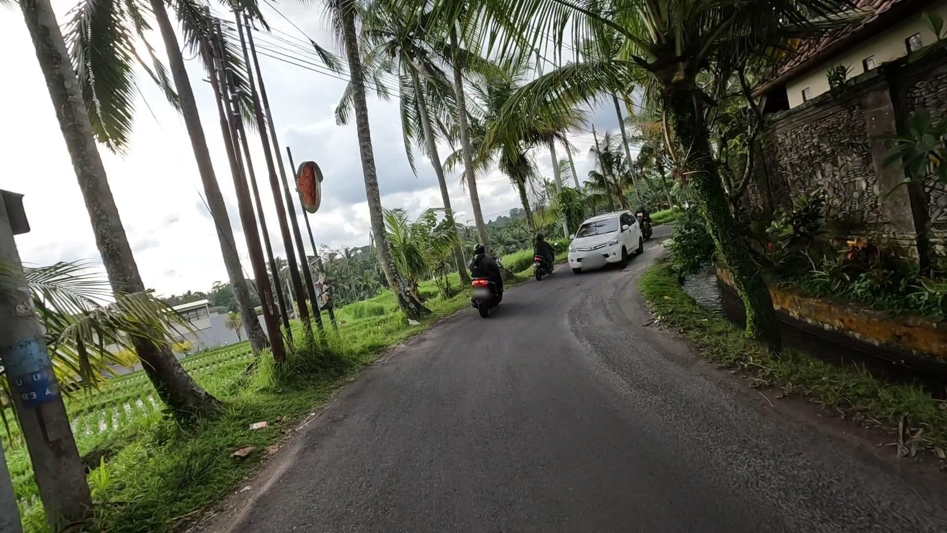 Street view near Anusara Luxury Villa, Ubud — © lucomsky (CC BY-SA · Mapillary)