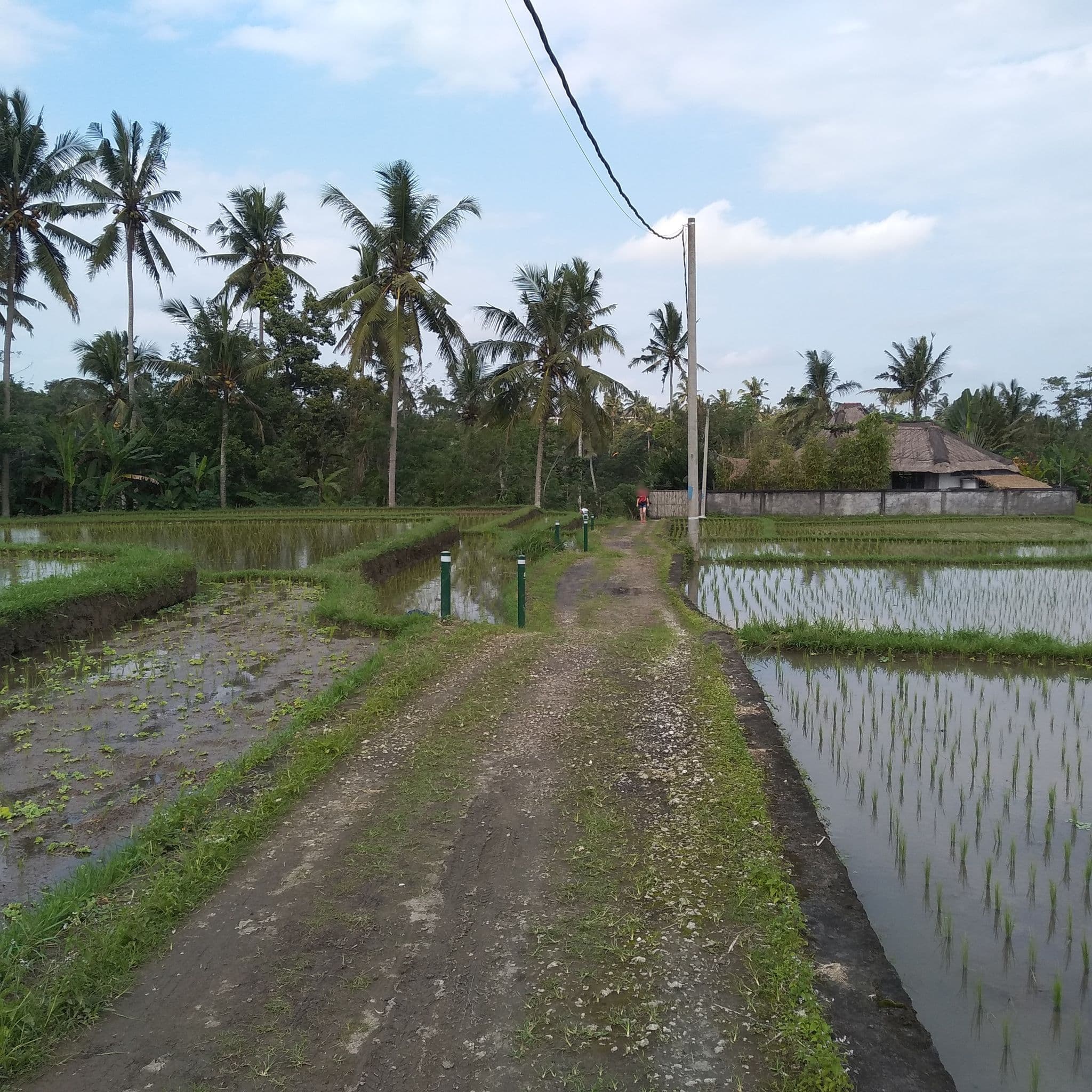 Street view near Villa Pisces Ubud, Ubud — © falk (CC BY-SA · Mapillary)