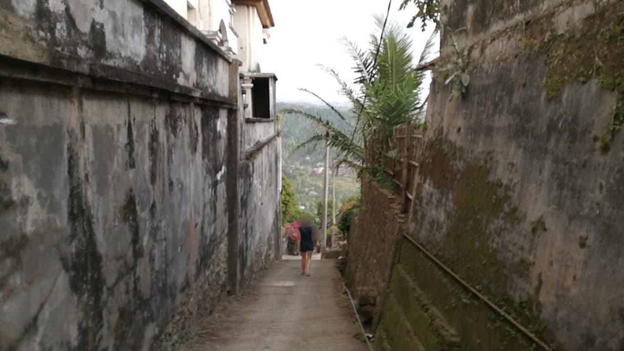 Street view near Hyang Lala Homestay, Munduk — © lga (CC BY-SA · Mapillary)