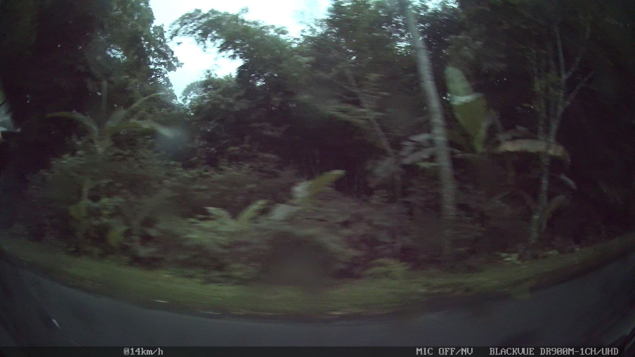 Street view near heaven in bali, Ubud — © kaart_2 (CC BY-SA · Mapillary)
