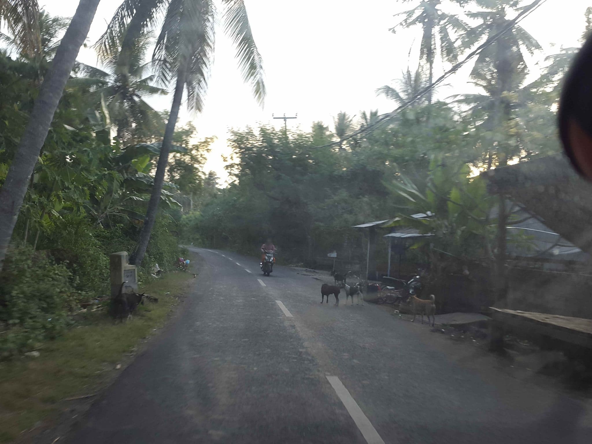 Street view near Nusa Majesty Bunglalows, Klungkung — © roadroid (CC BY-SA · Mapillary)