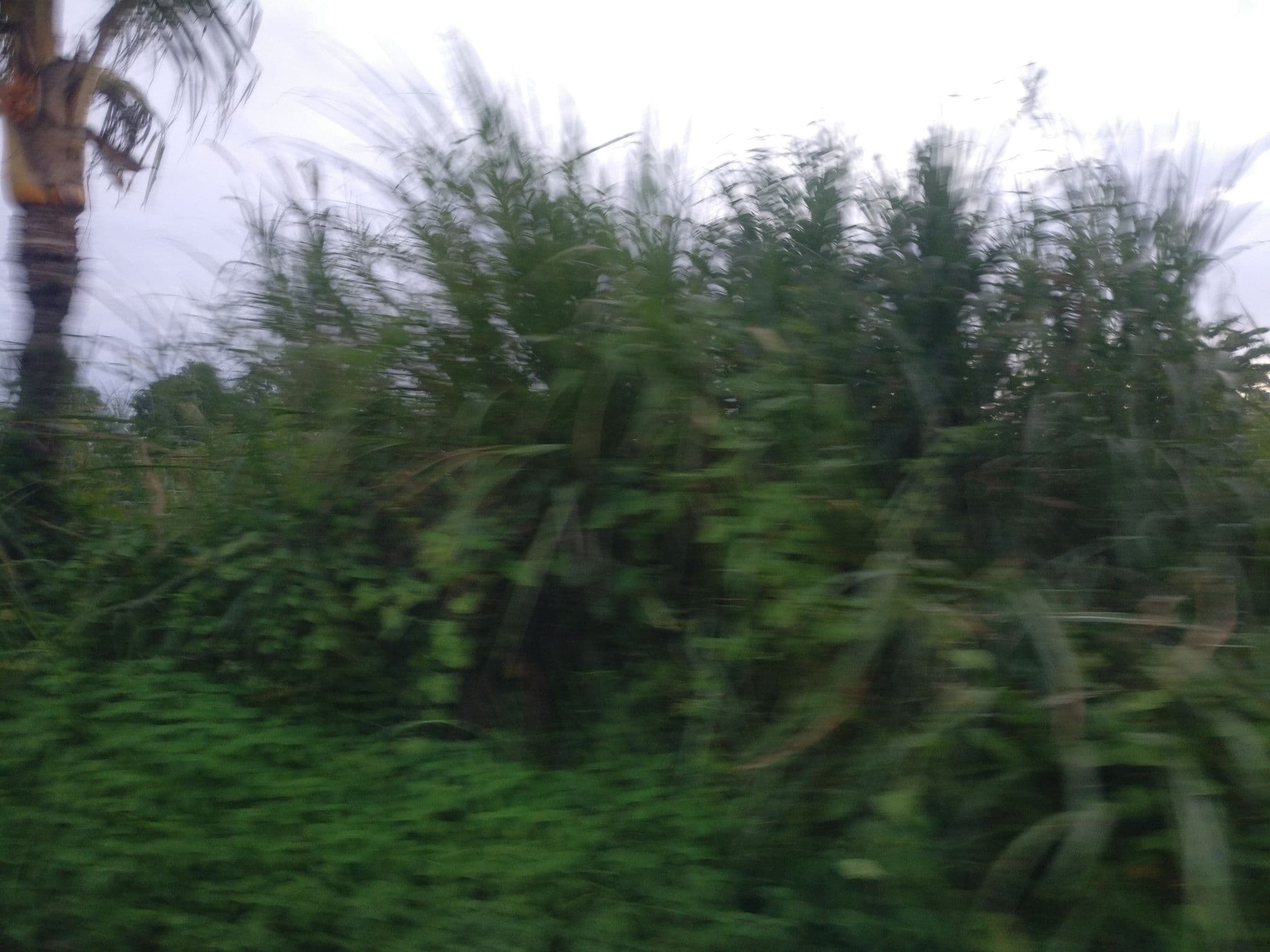Street view near Villa Casablanca Surf Keramas, Batubulan — © seb1204 (CC BY-SA · Mapillary)