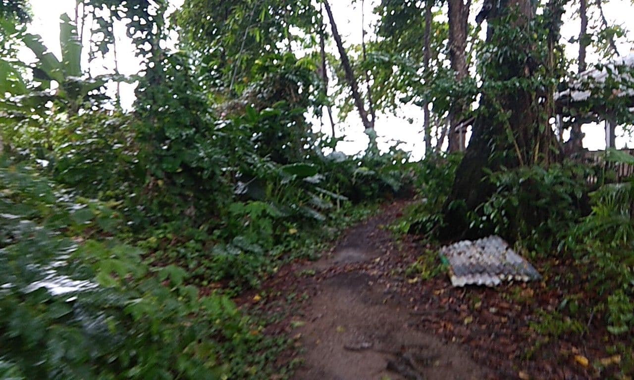 Street view near Cabinas Orange Green, Sixaola — © fmonge (CC BY-SA · Mapillary)