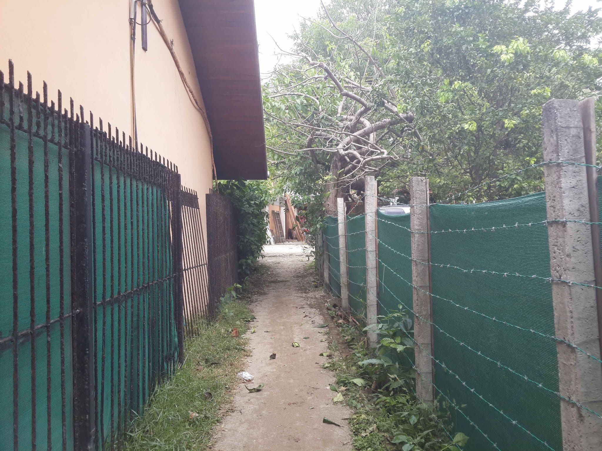 Street view near Samara Tree House Inn, Sámara — © jeukel (CC BY-SA · Mapillary)