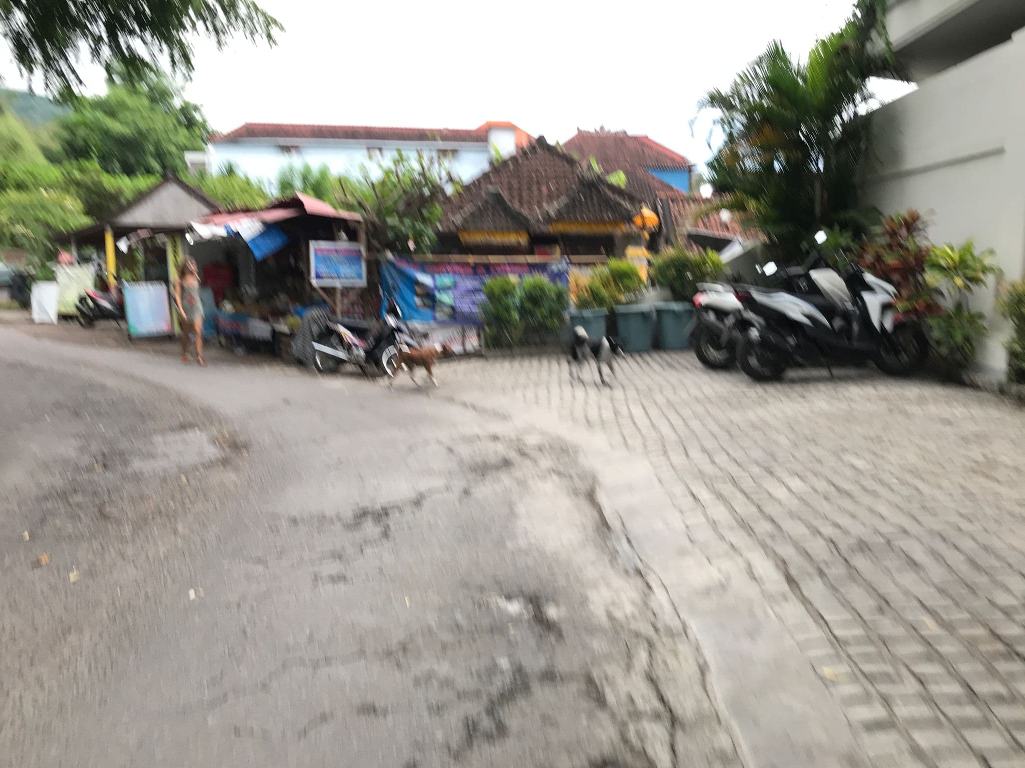 Street view near Tudes Homestay, Amlapura — © alekseyrm (CC BY-SA · Mapillary)