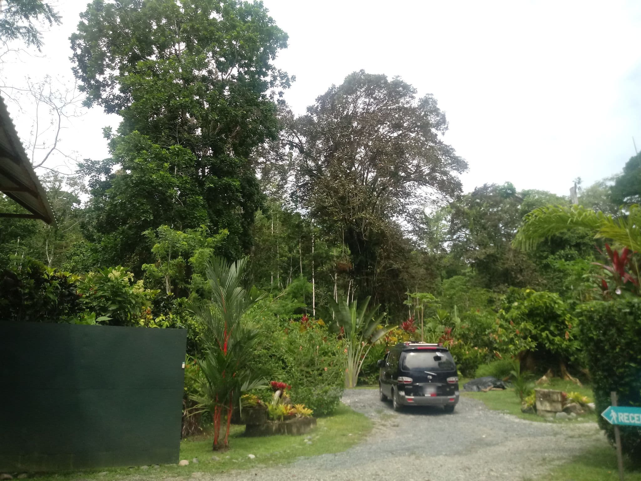 Street view near La Rana de Cahuita, Limón — © elopio (CC BY-SA · Mapillary)