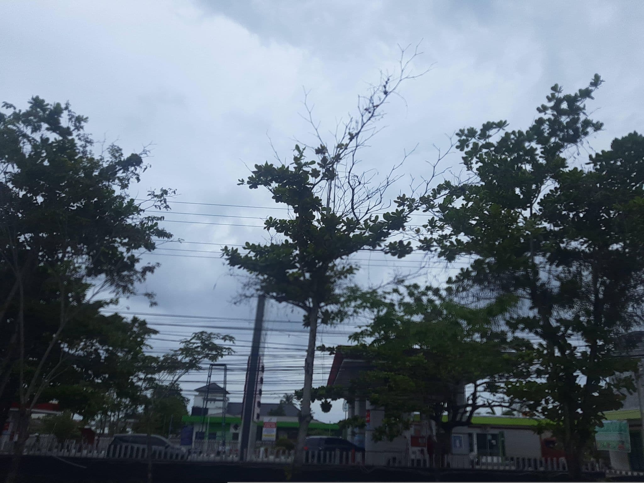 Street view near Fortuna Hotel, Banjarmasin — © FenyMufyd (CC BY-SA · Mapillary)