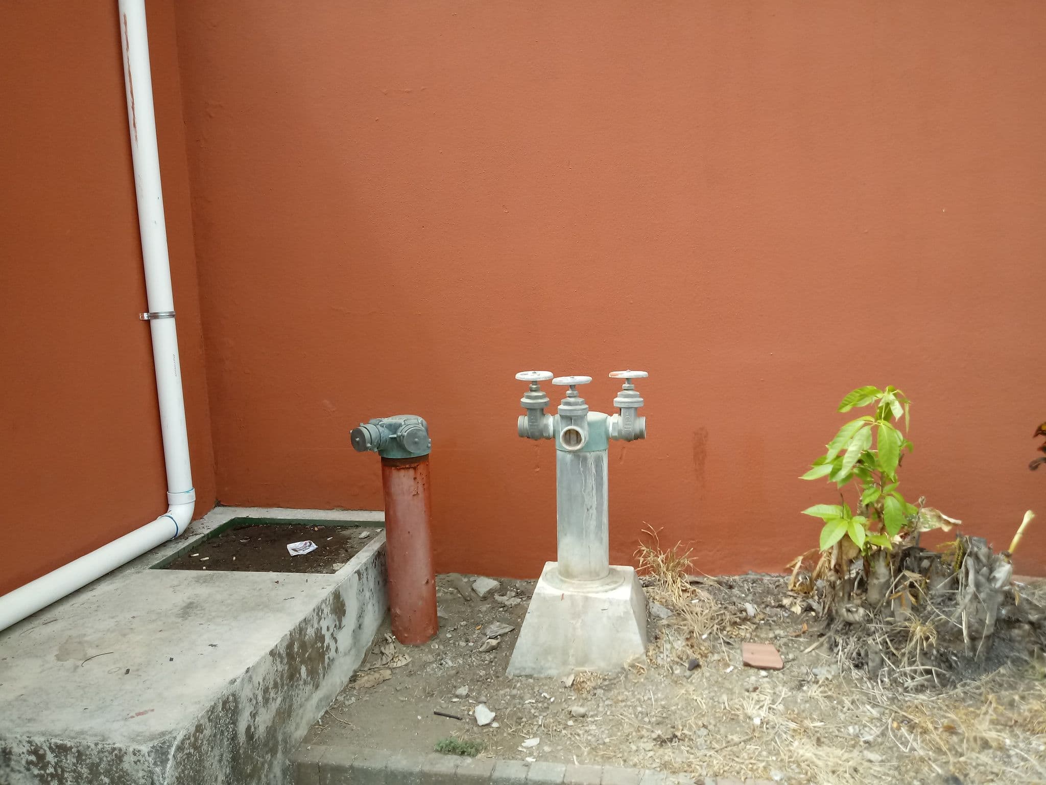 Street view near Hotel Cocal, Jacó — © elopio (CC BY-SA · Mapillary)